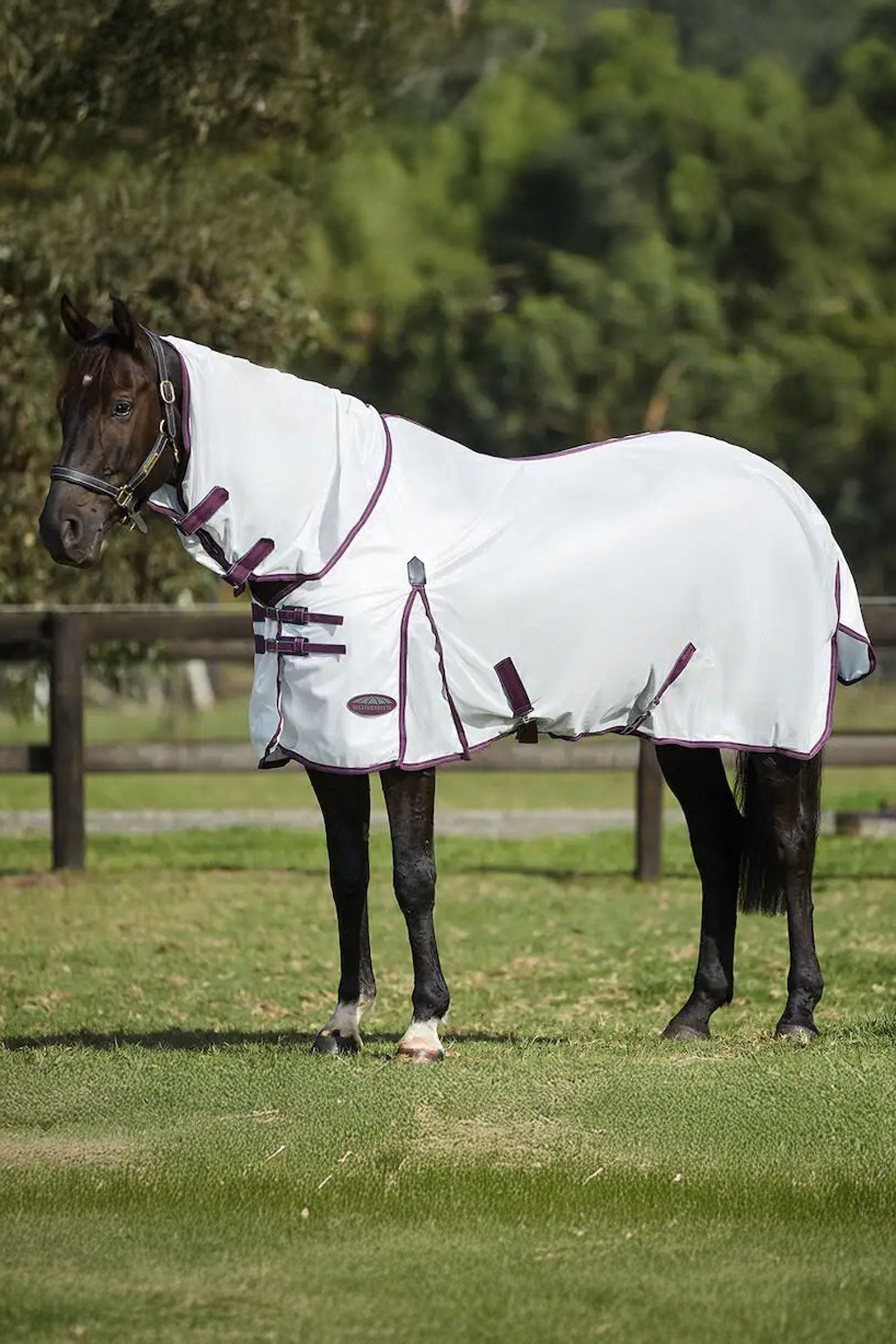 Weatherbeeta Chemise intégrale en mesh Comfitec Essential II, avec couvre-encolure intégré Couvertures cheval