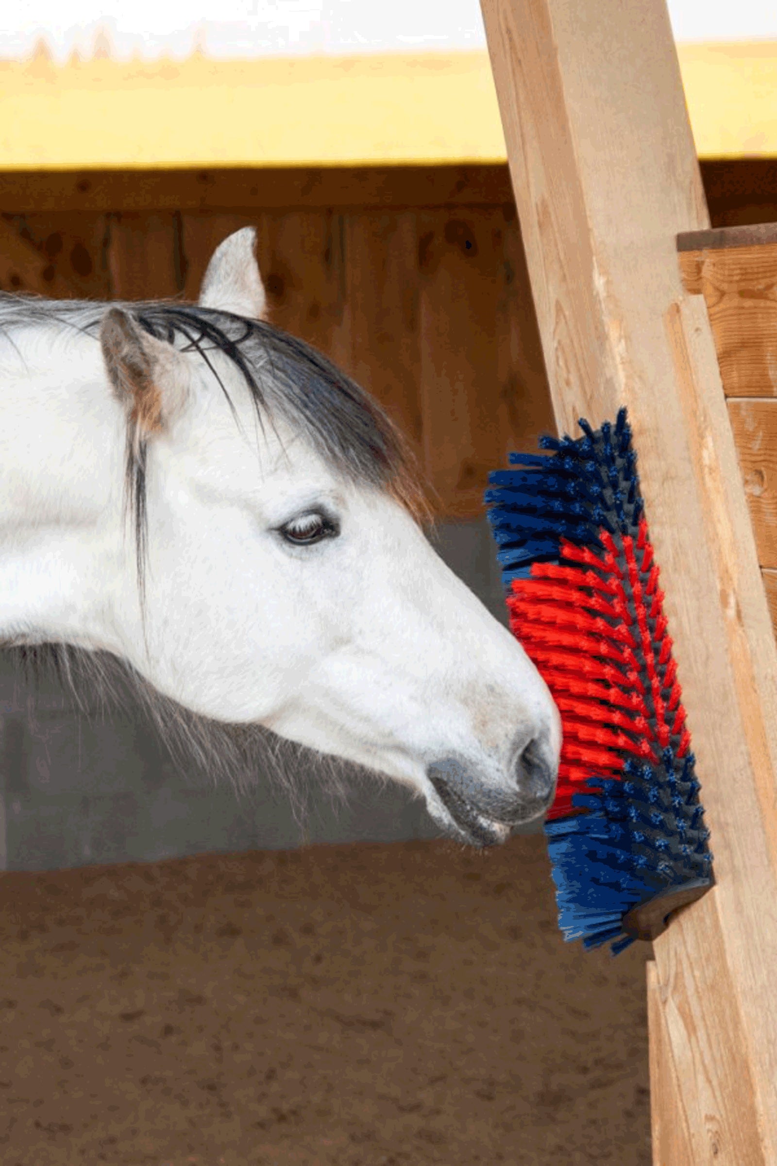 Kerbl XL Scratch Brush, Round Stable Equipment