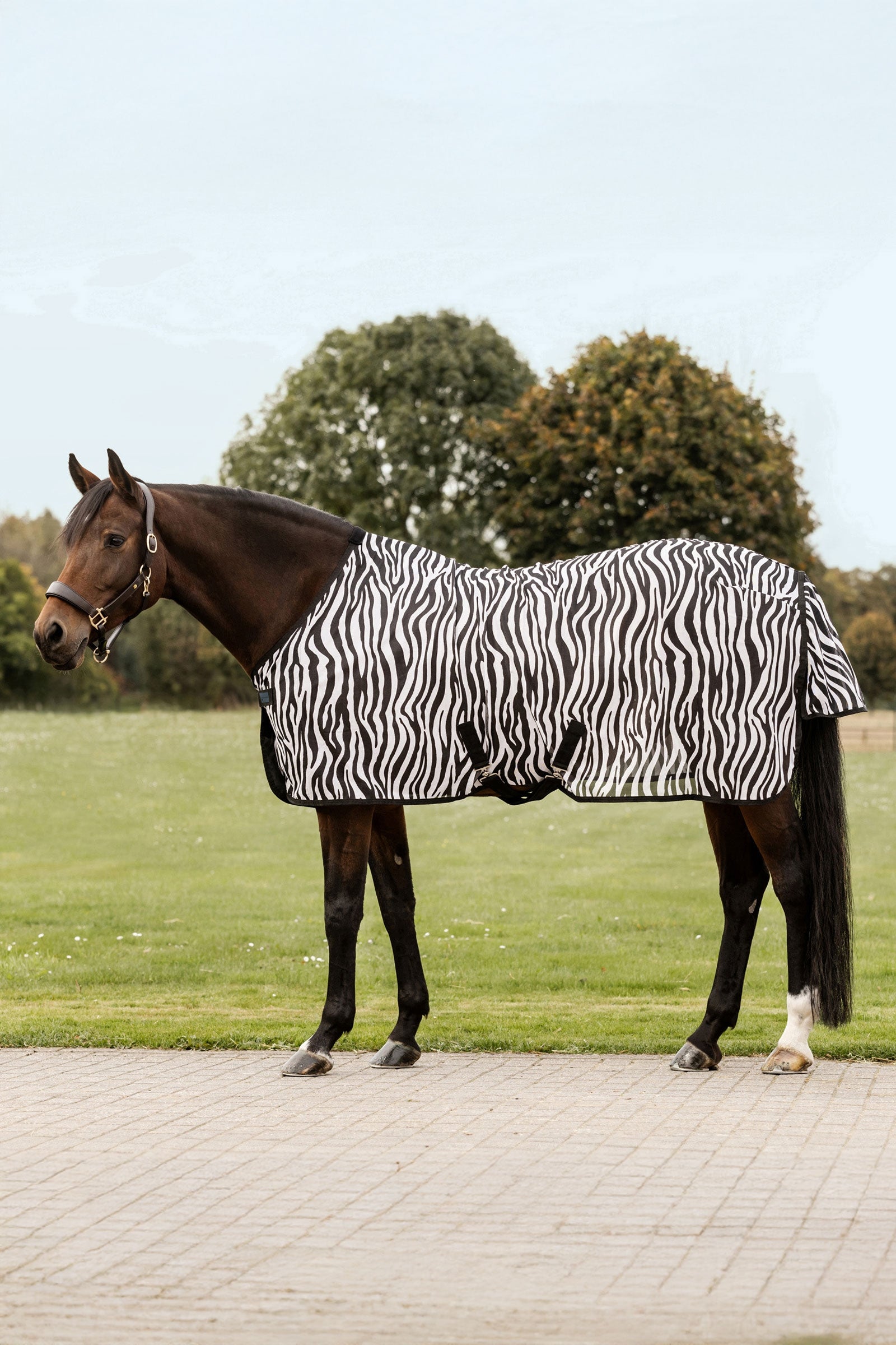 Waldhausen Zebra couverture anti-mouches avec sangles croisées Couvertures cheval
