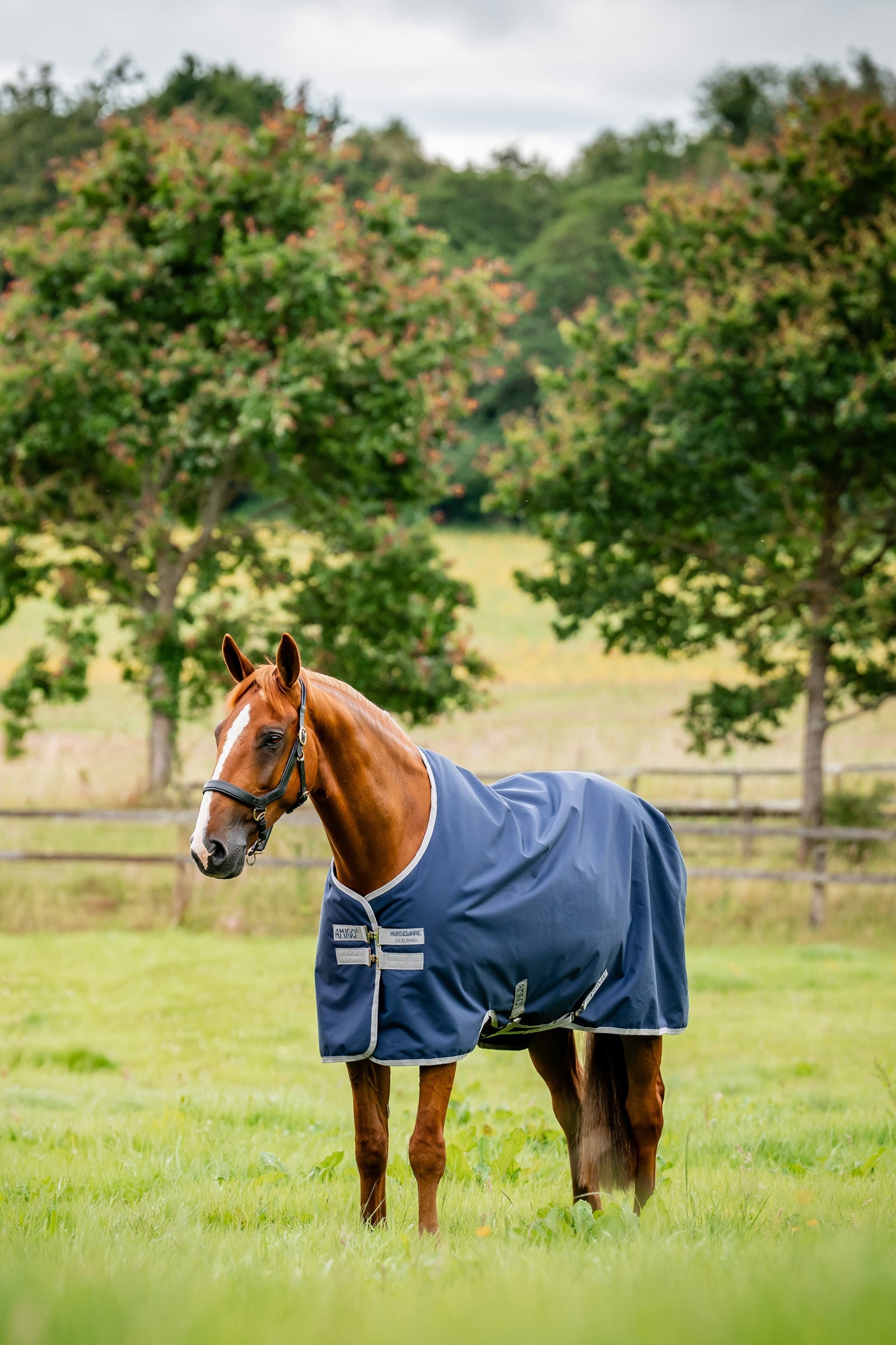 Horseware Amigo couverture d’extérieur Ripstop 900D, 100 g Couvertures cheval
