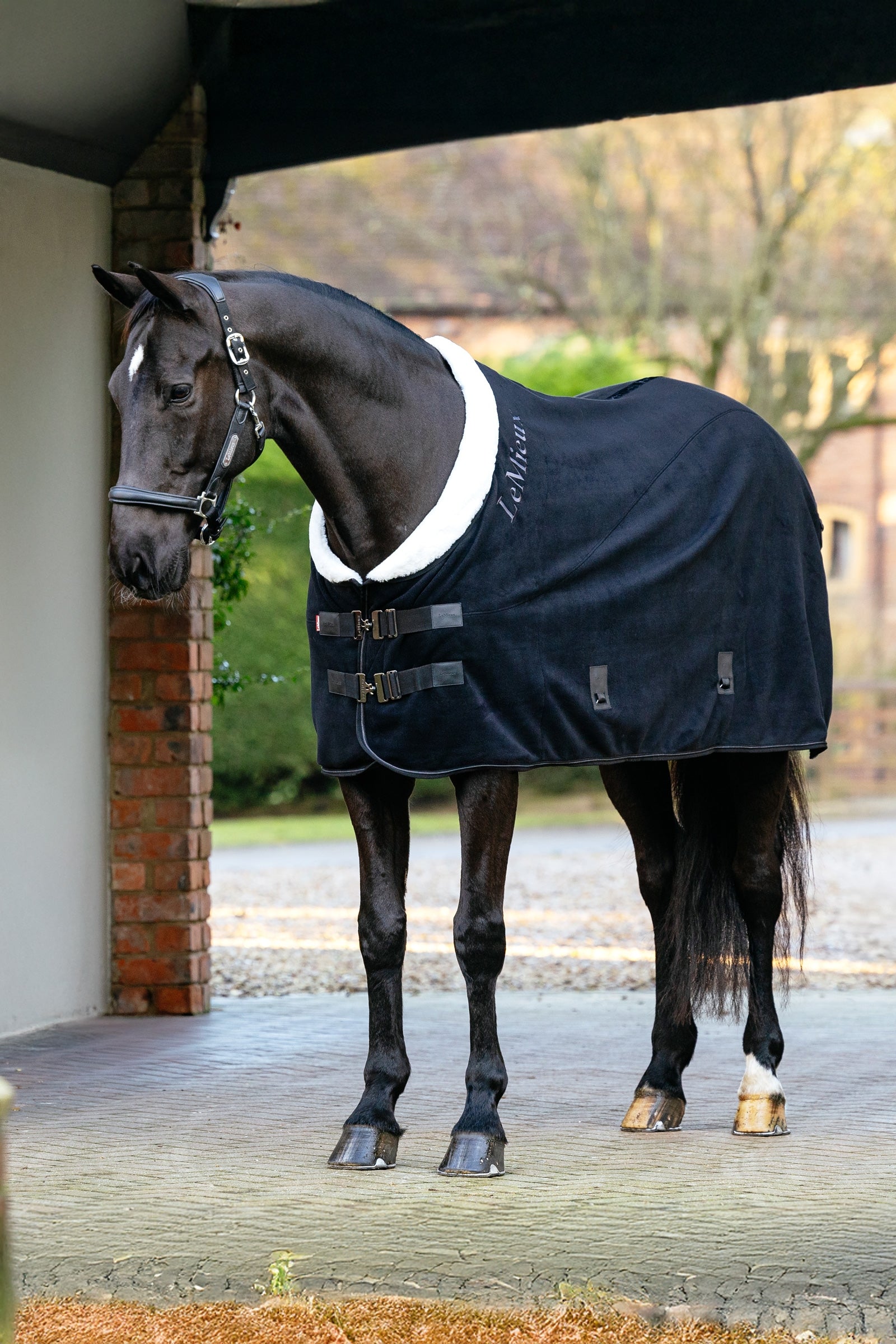 LeMieux Kudos Luxe couverture polaire Couvertures cheval