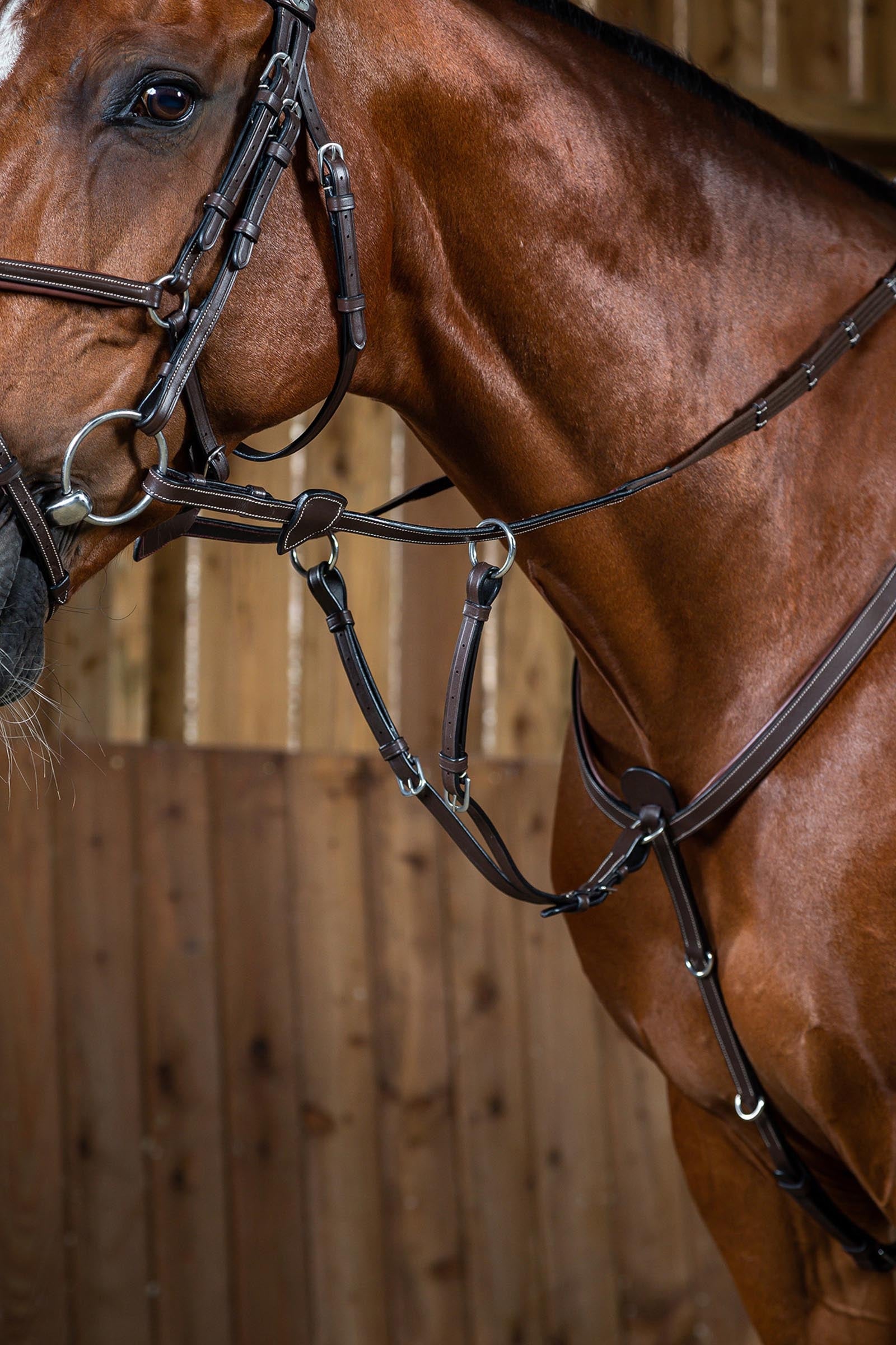 Dy'on Working pièce de martingale à anneaux Briderie et enrênements