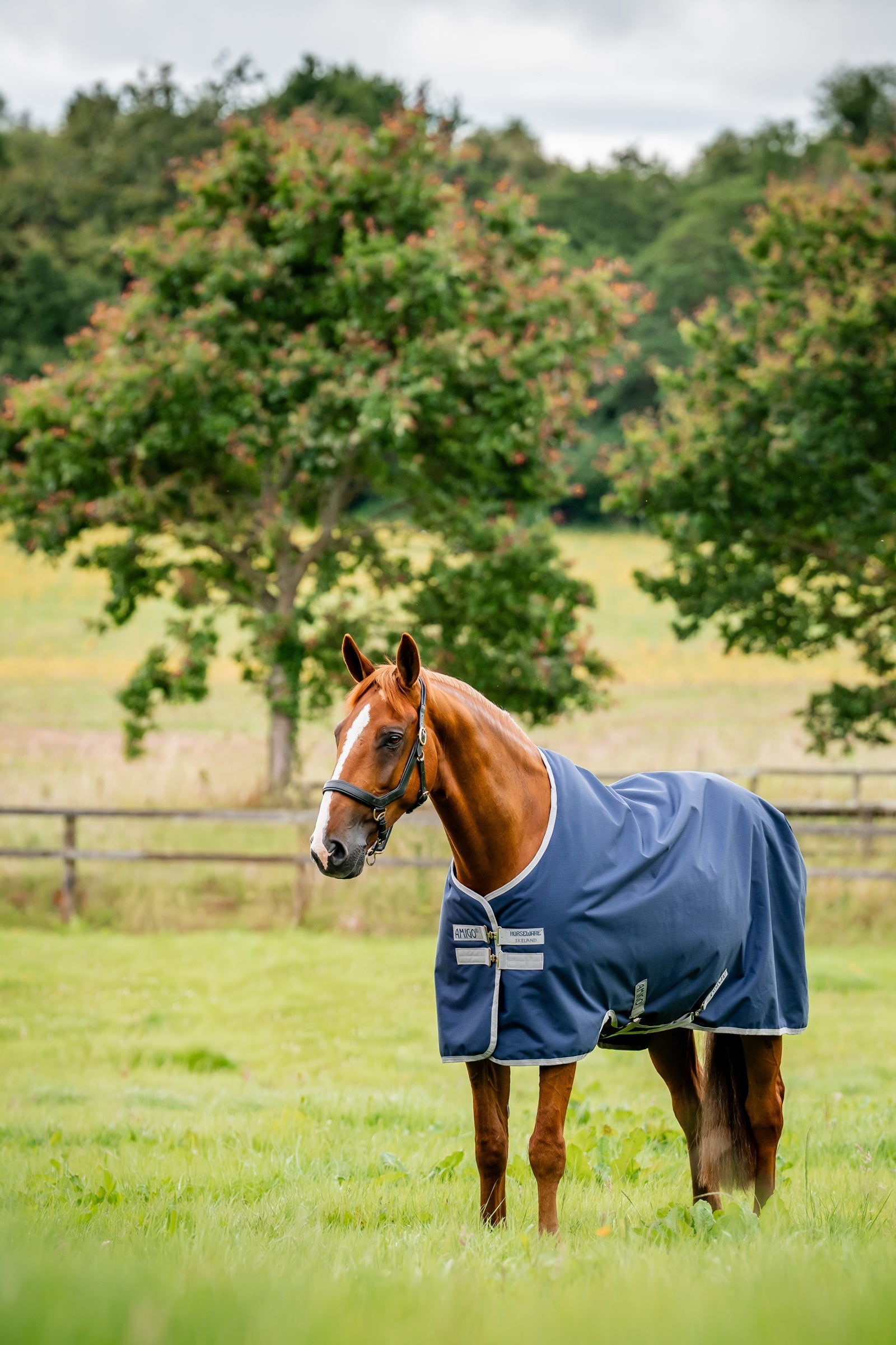 Horseware couverture d’extérieur Amigo Ripstop 900D, 200 g Couvertures cheval