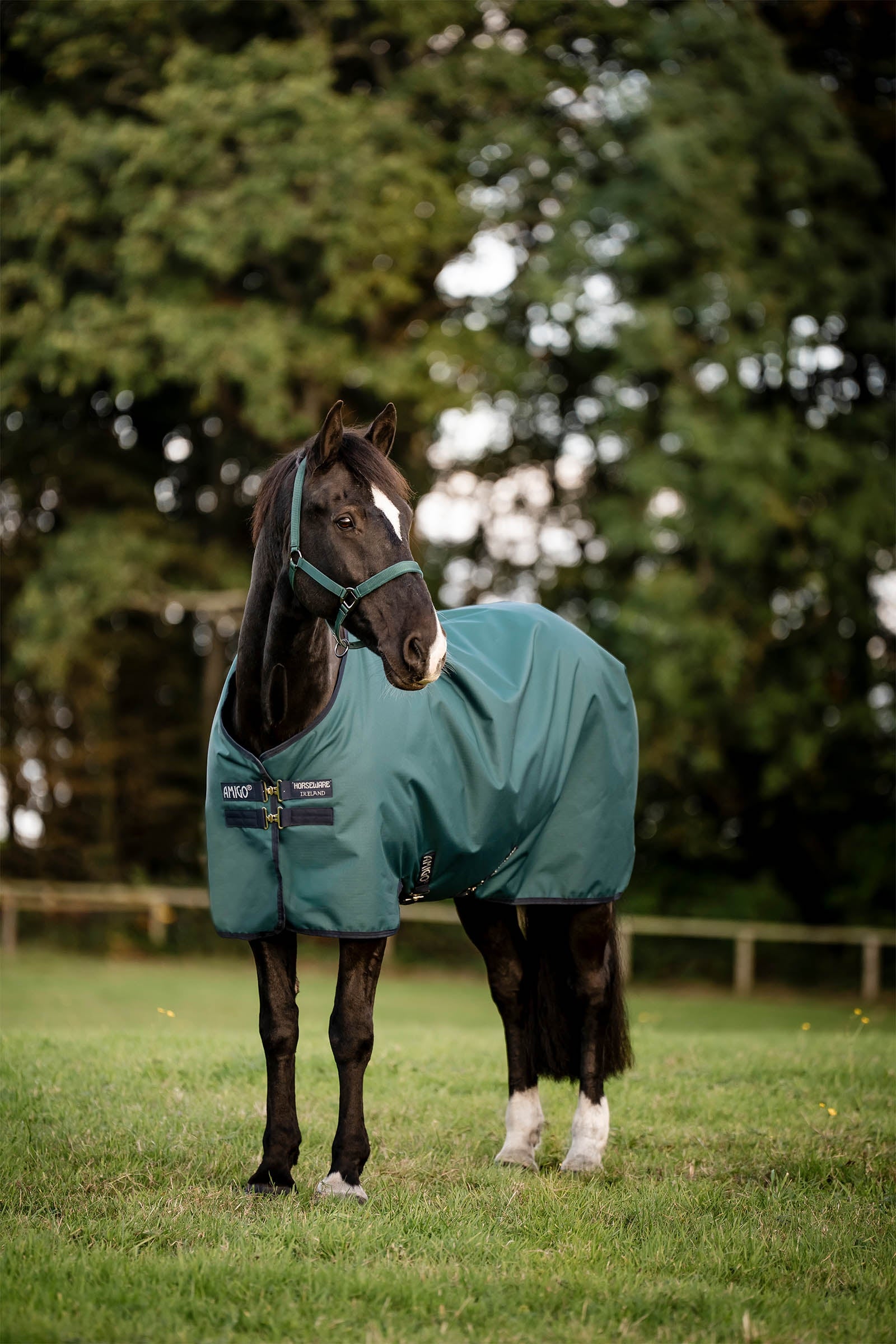 Horseware couverture d’extérieur Amigo Ripstop 900D, 200 g Couvertures cheval