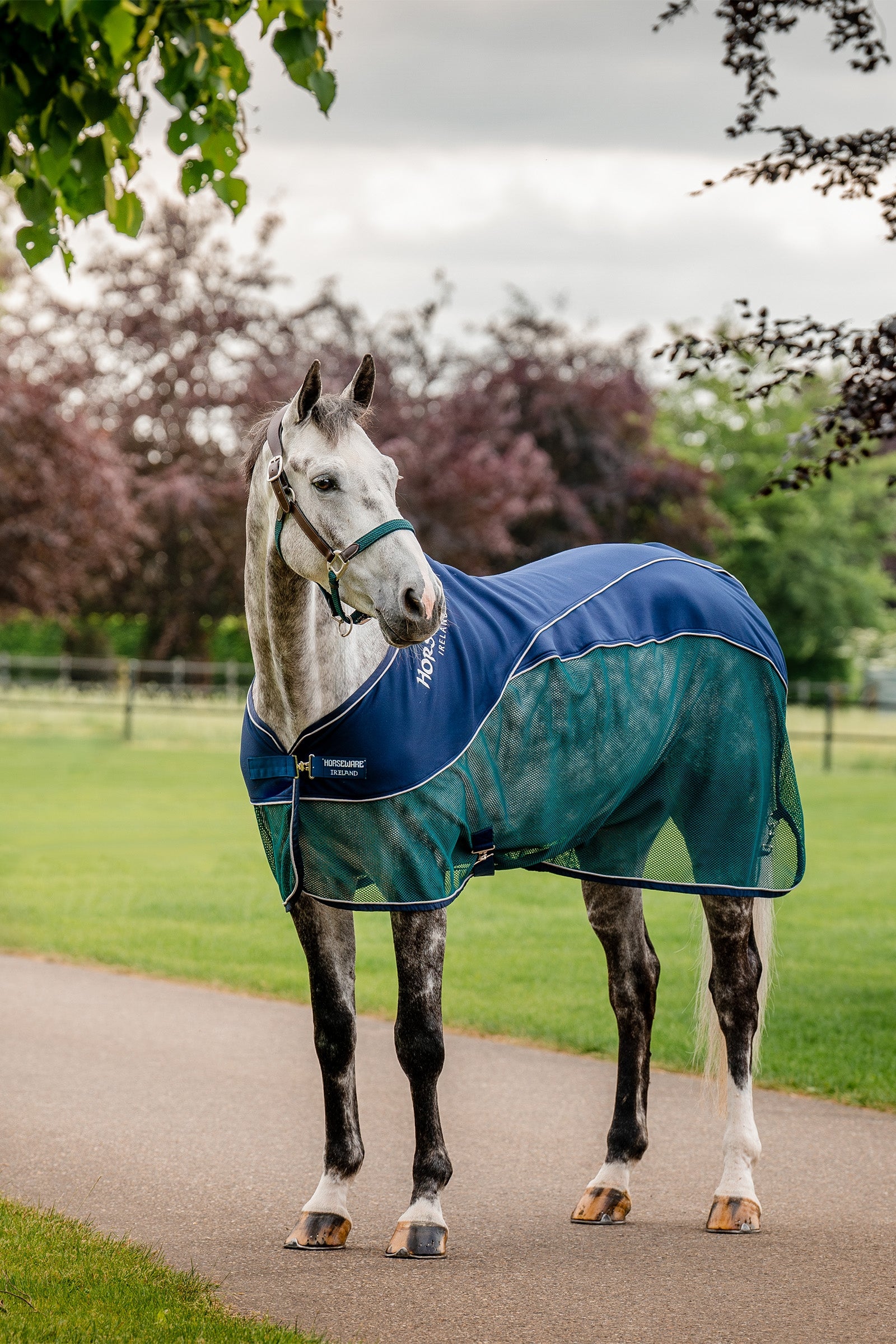 Horseware Signature Sport Couverture anti-transpiration Couvertures cheval