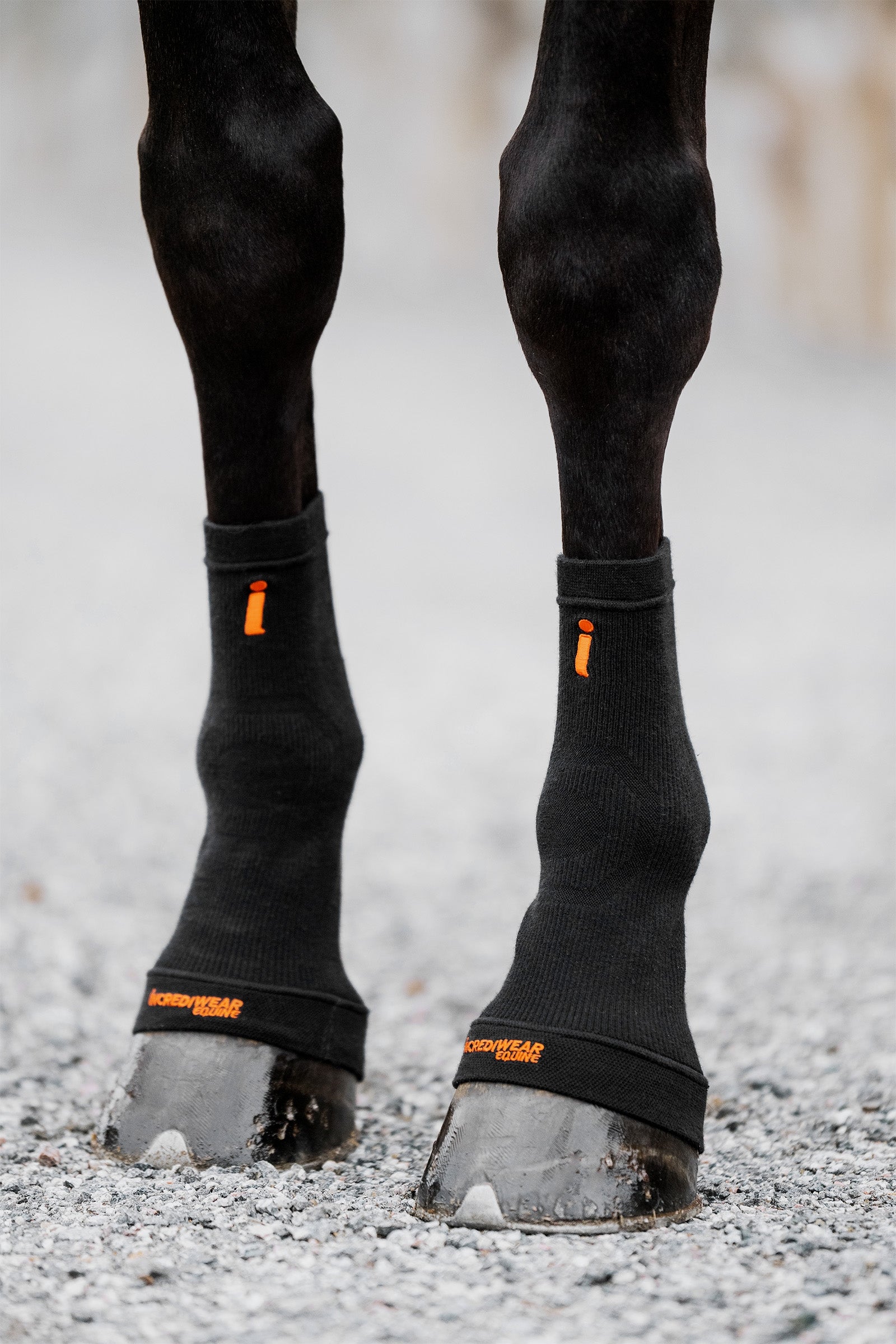 Incrediwear Chaussettes Circulation Sabots Leg Protection & Hoof Protection for Horses