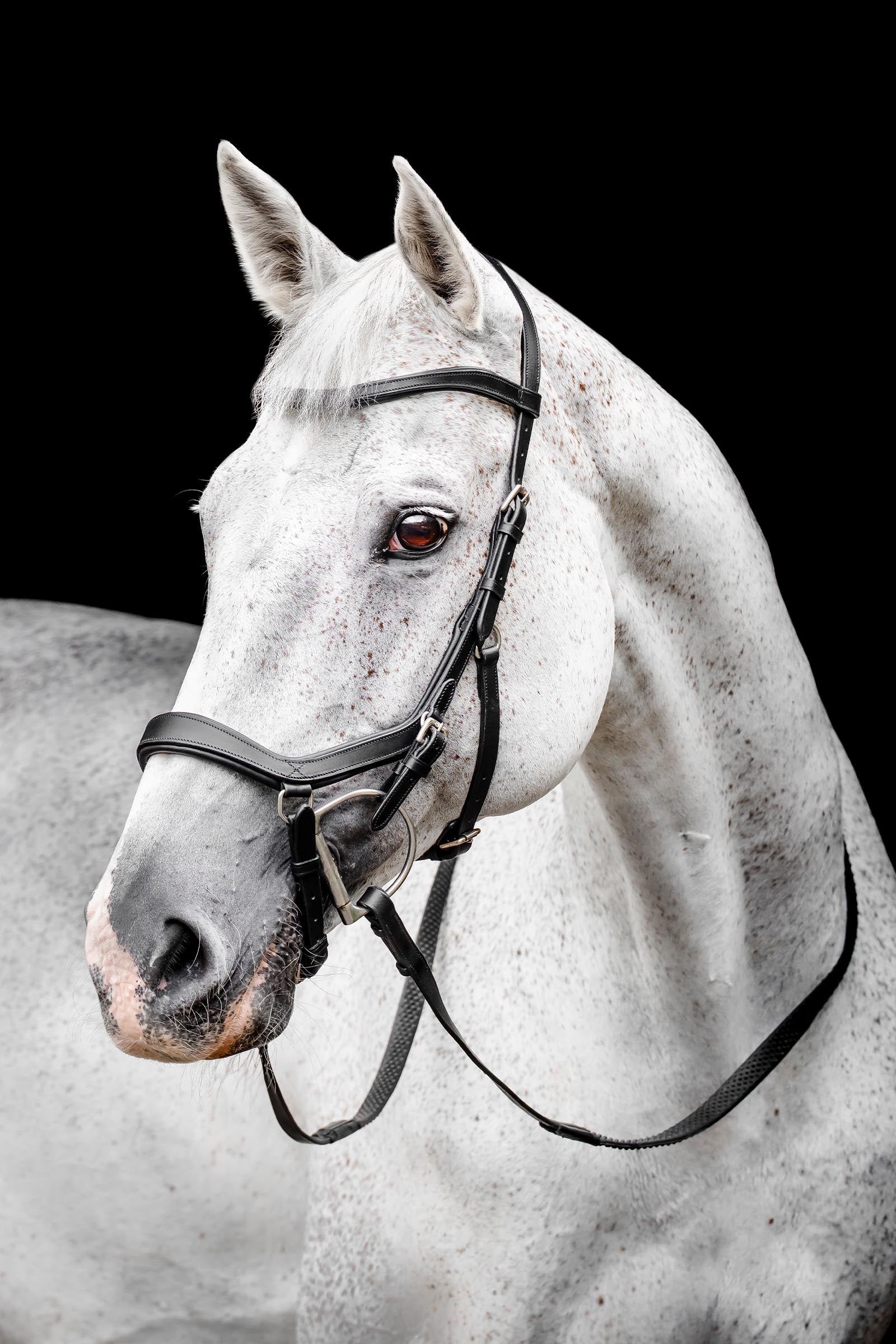 Bridon cuir cheval Rambo Micklem Multi - Horseware - HORSEWARE Bridon cuir cheval Rambo Micklem Multi - Horseware - HORSEWARE