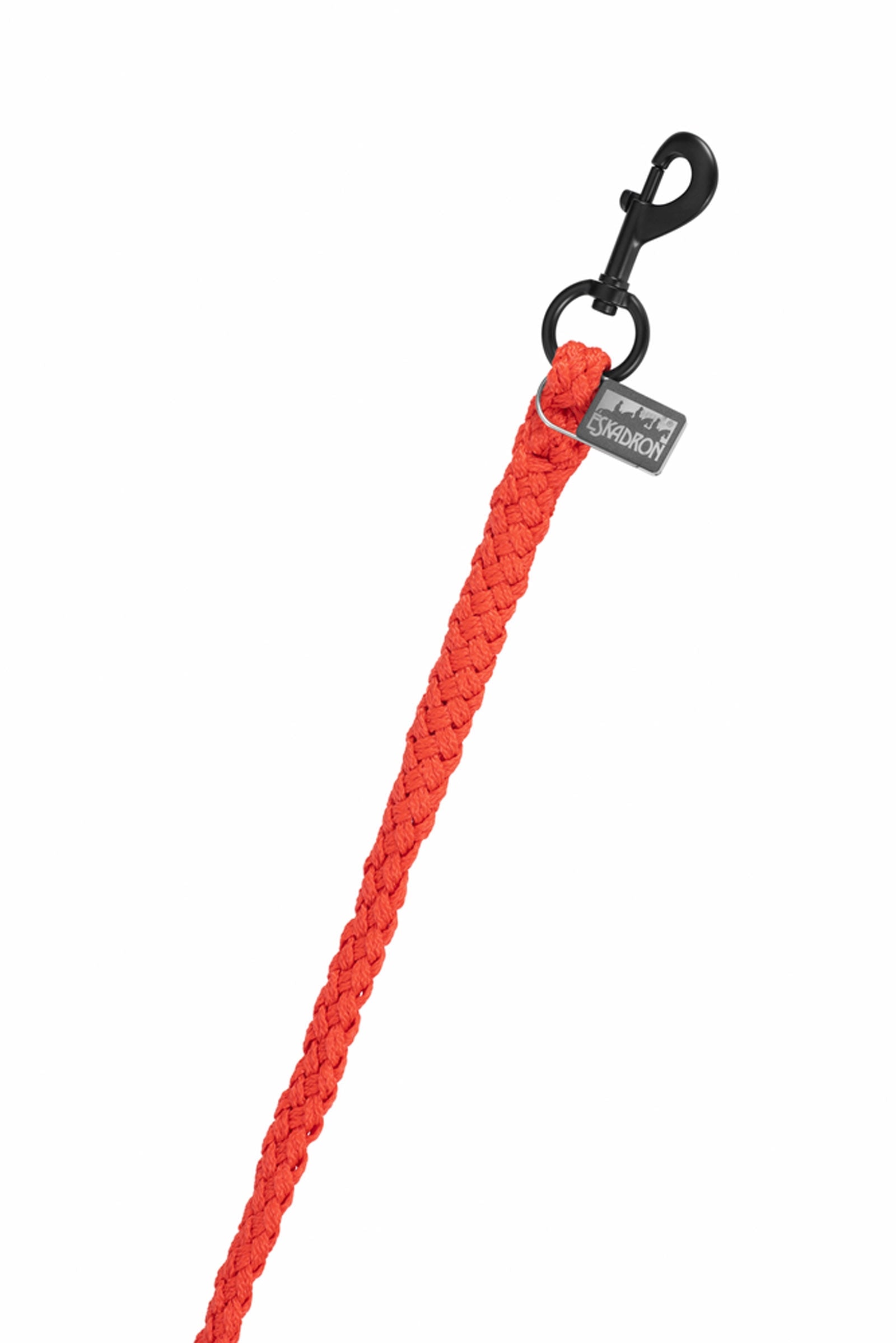 Eskadron Dynamics AW25 longe avec mousqueton pivotant standard Licols & longes