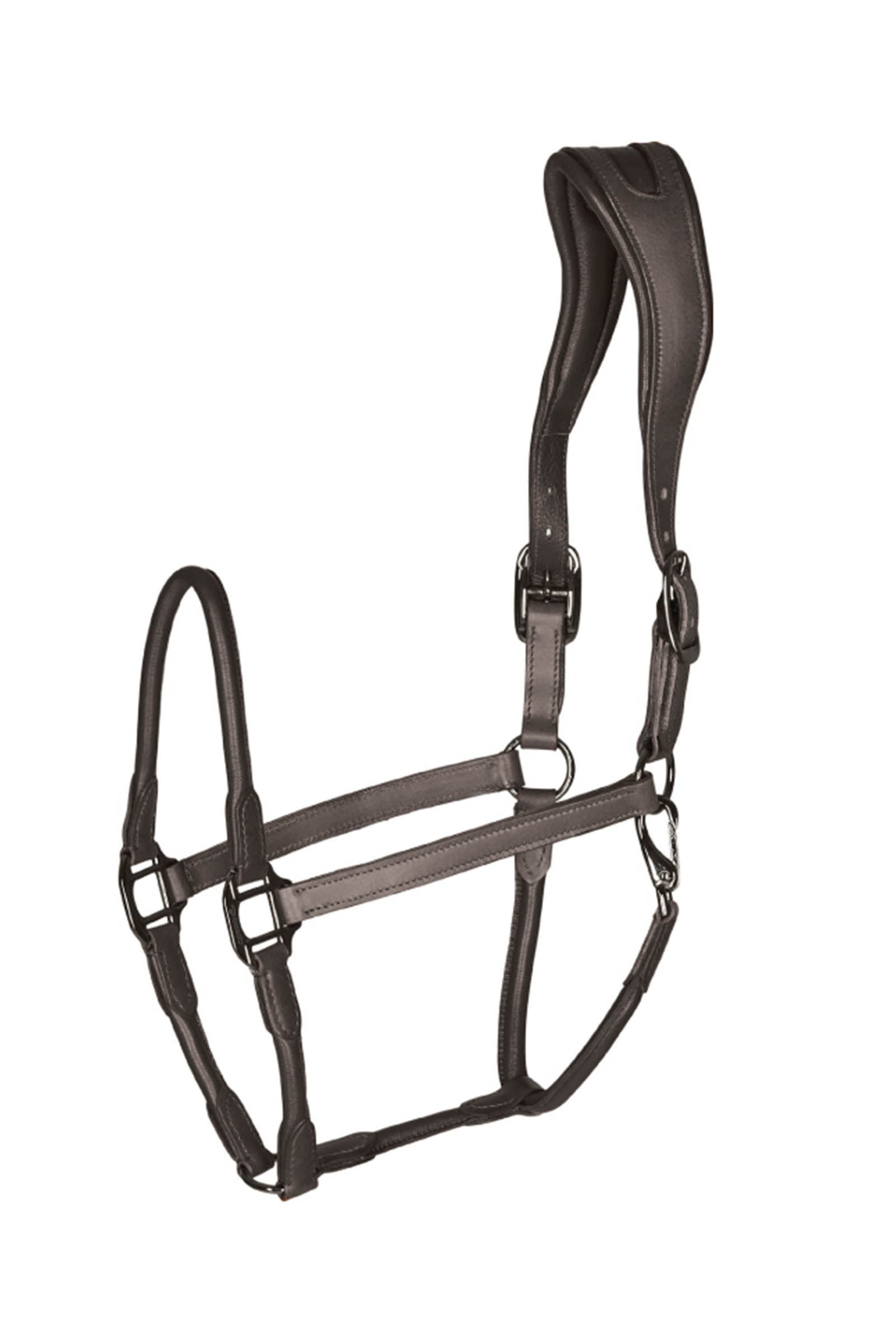 Catago leather halter with round-stitched noseband Licols & longes