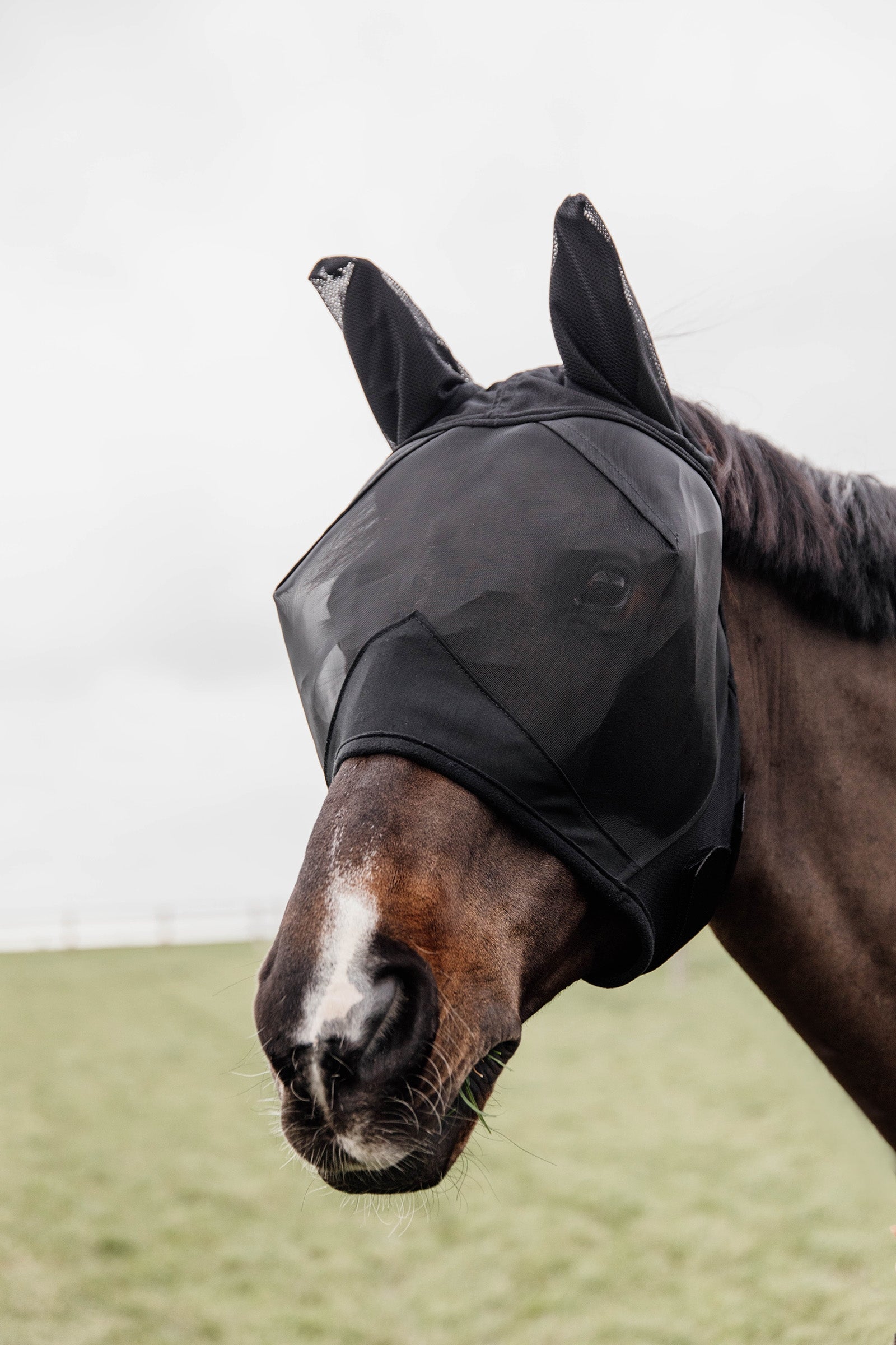 Kentucky Horsewear Classic  Fly Mask with Ears Antifly Protection for Horses