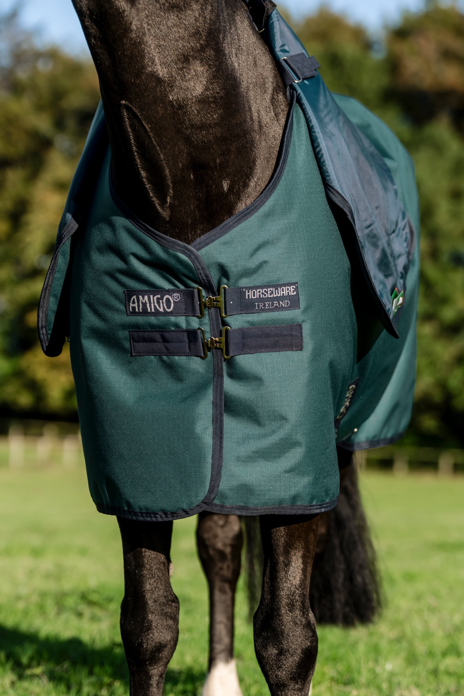Horseware Amigo Ripstop 900D Plus Pony Turnout Rug, 100 g Horse Rugs