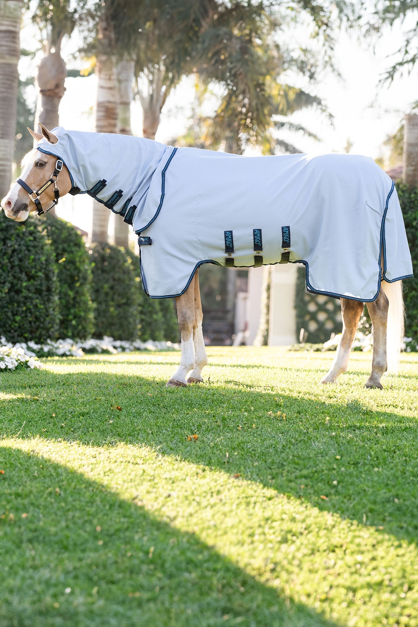 Horseware Amigo Ripstop Hoody Poney Couvertures cheval