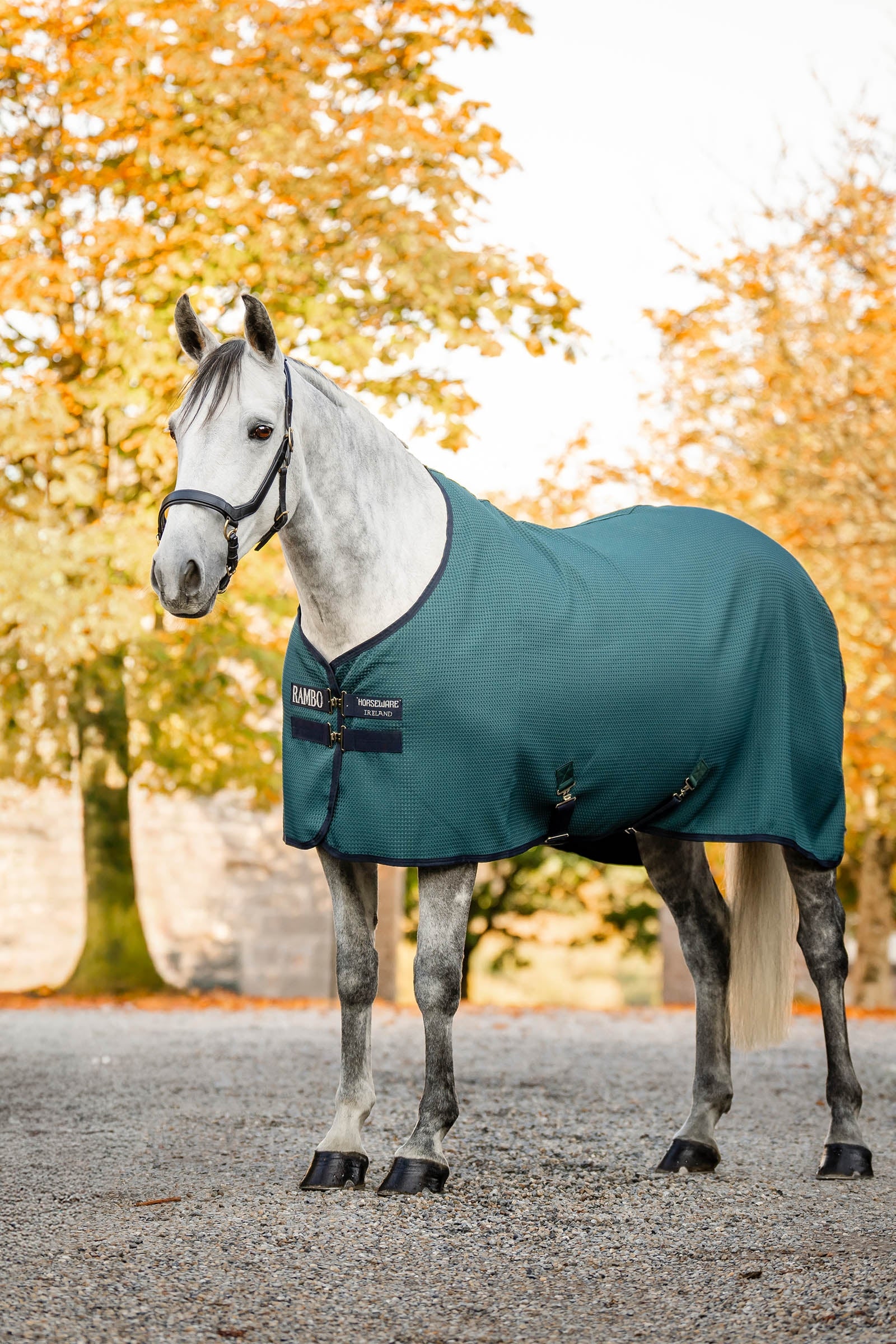 Horseware Rambo Techni Waffle chemise séchante Couvertures cheval