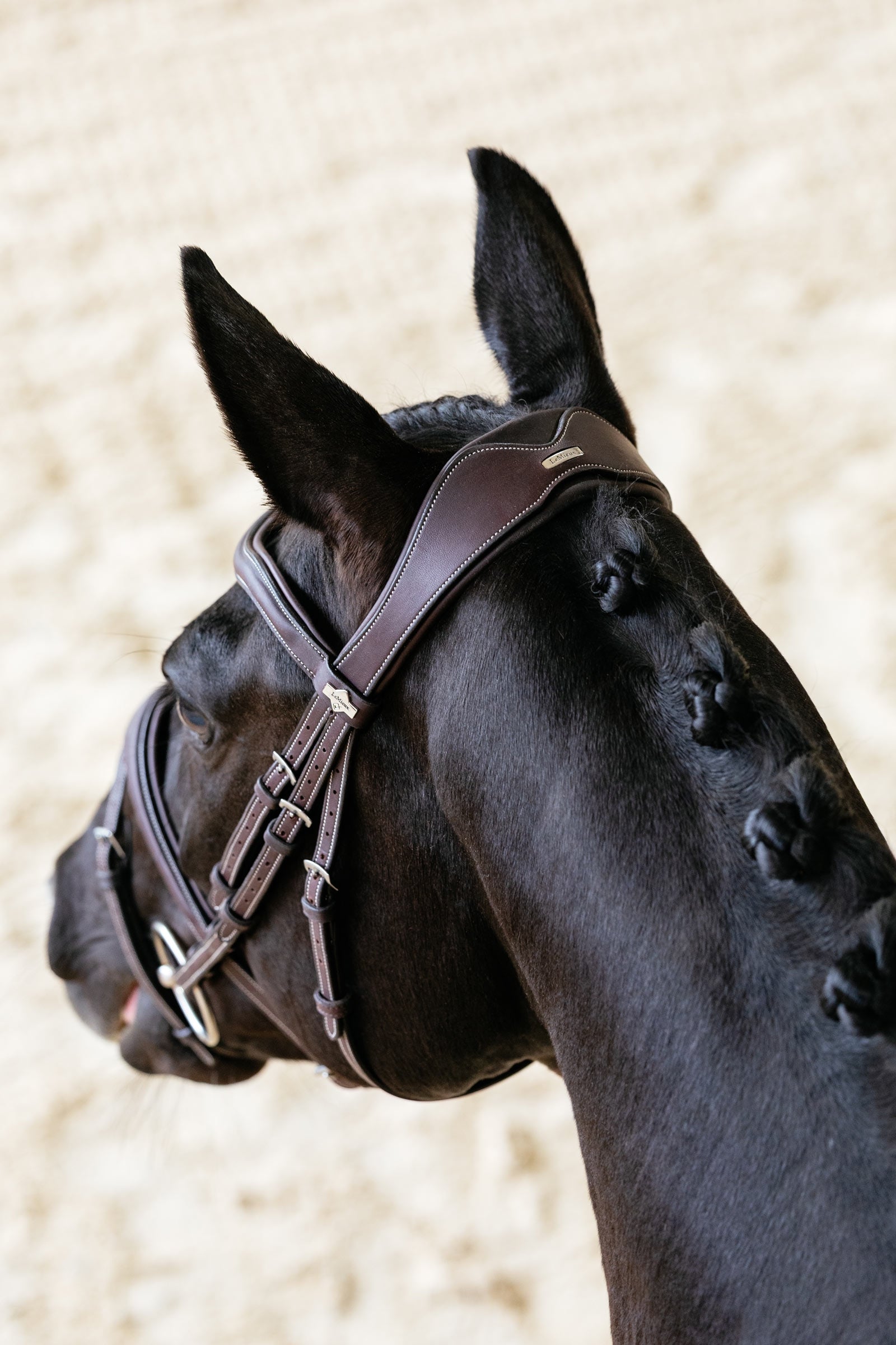LeMieux Kudos Contour Anatomichal Flash Bridle Bridles & Reins