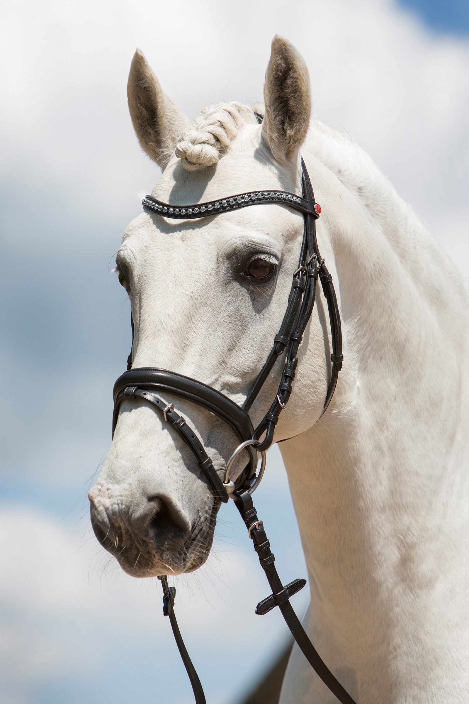 Kieffer Ultrasoft® Fashion Bridle Briderie et enrênements