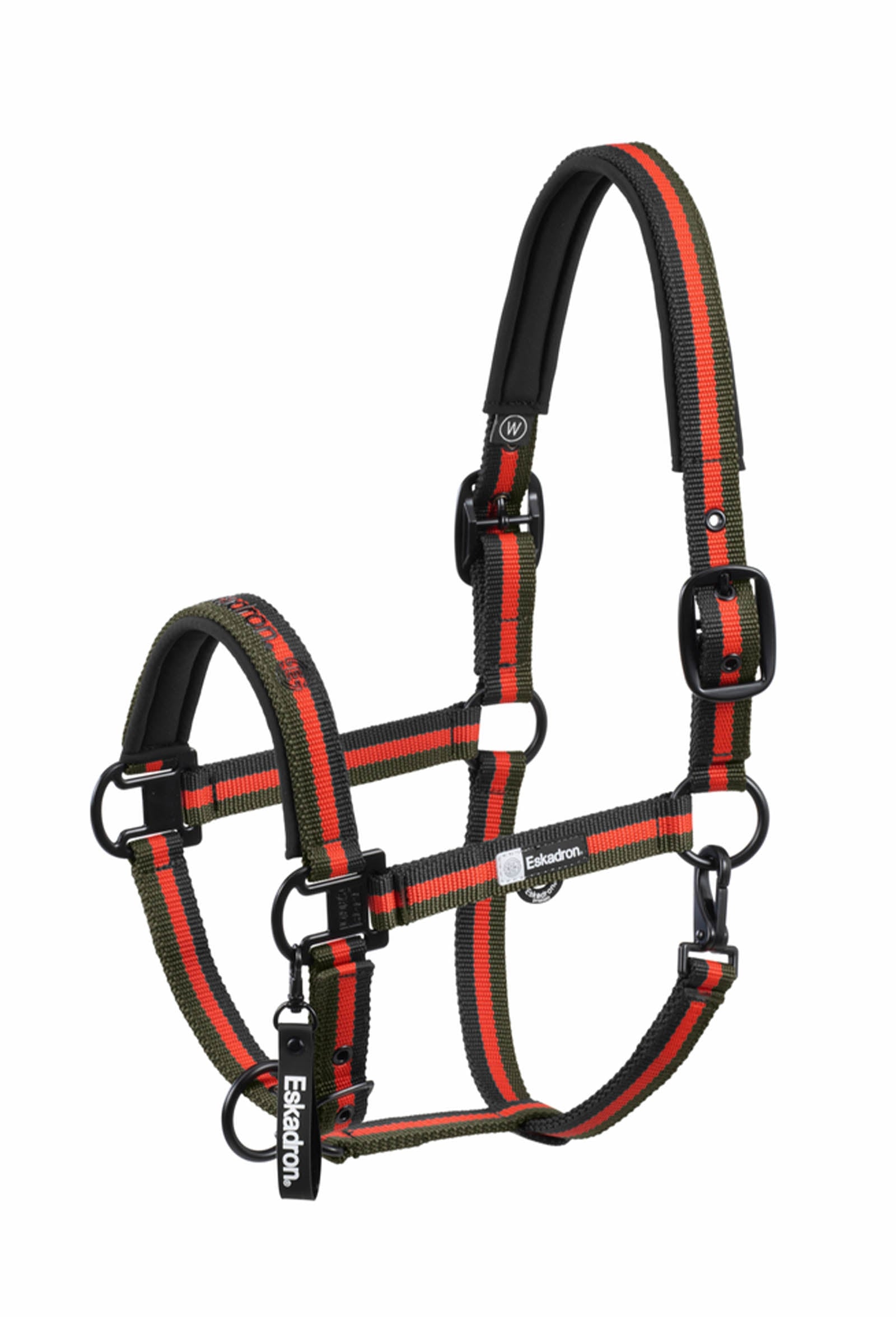 Eskadron Dynamics AW25 licol à double ardillon Licols & longes