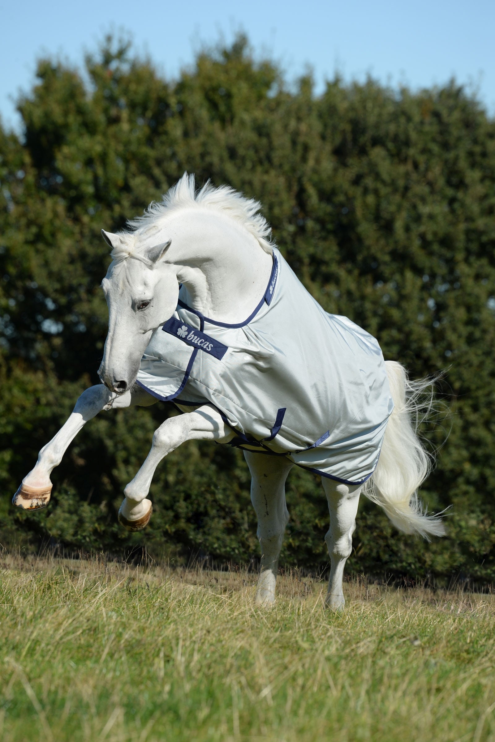 Bucas Power Turnout Rug with Big Neck, 0g Horse Rugs