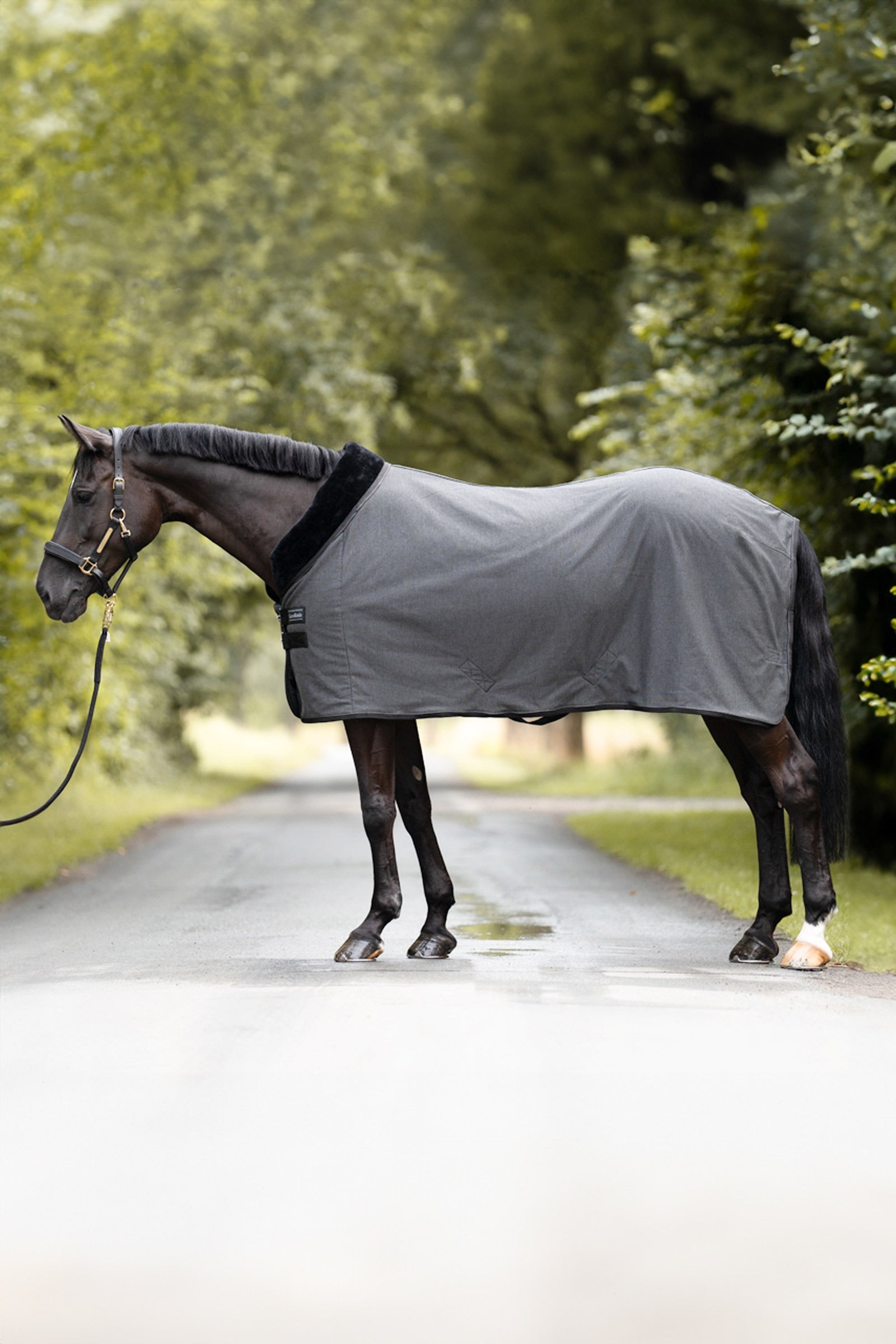 Kavalkade Elegance Couverture de voyage et de refroidissement Couvertures cheval