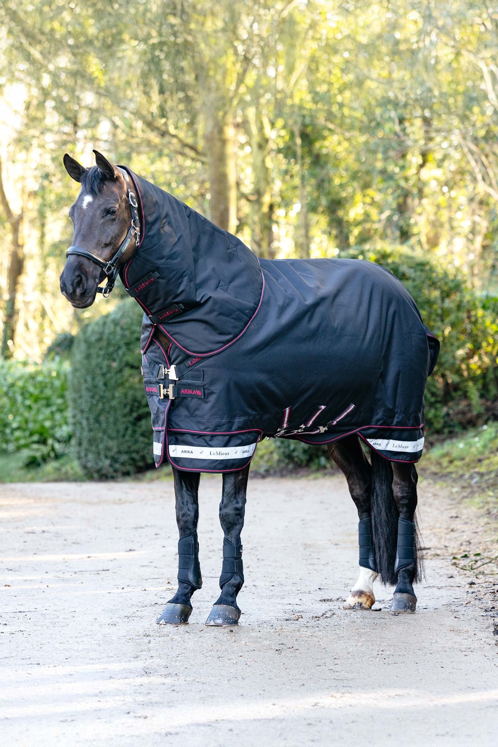 LeMieux Arika Storm-Tek couverture d’extérieur avec encolure amovible, 50 g Couvertures cheval