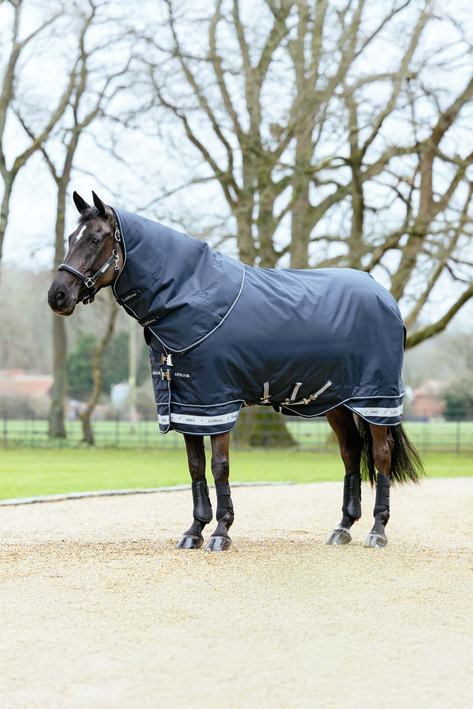 LeMieux Arika Storm-Tek couverture d’extérieur avec encolure amovible, 50 g Couvertures cheval