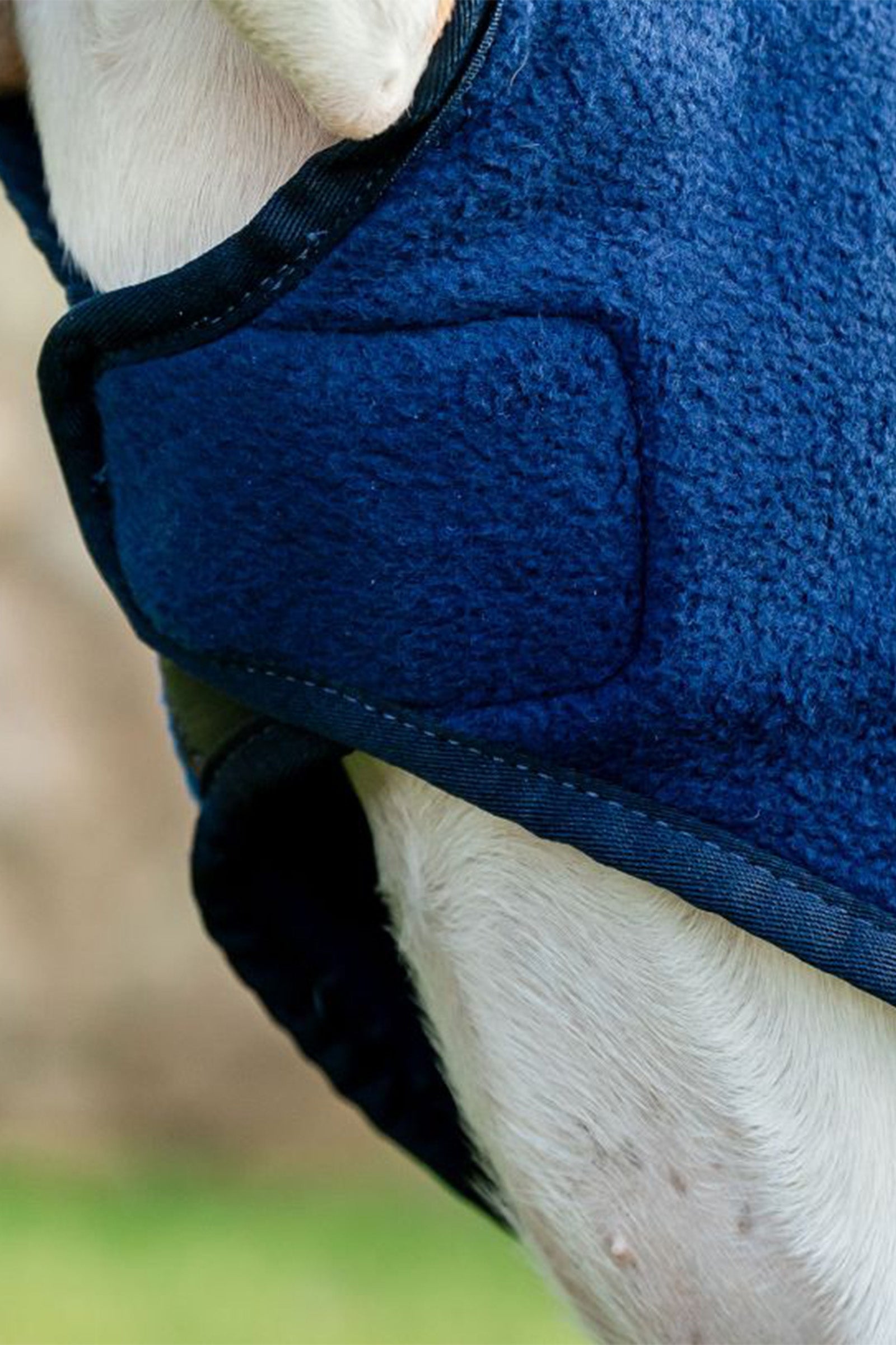 Horseware Signature Dog Fleece Dog Accesories
