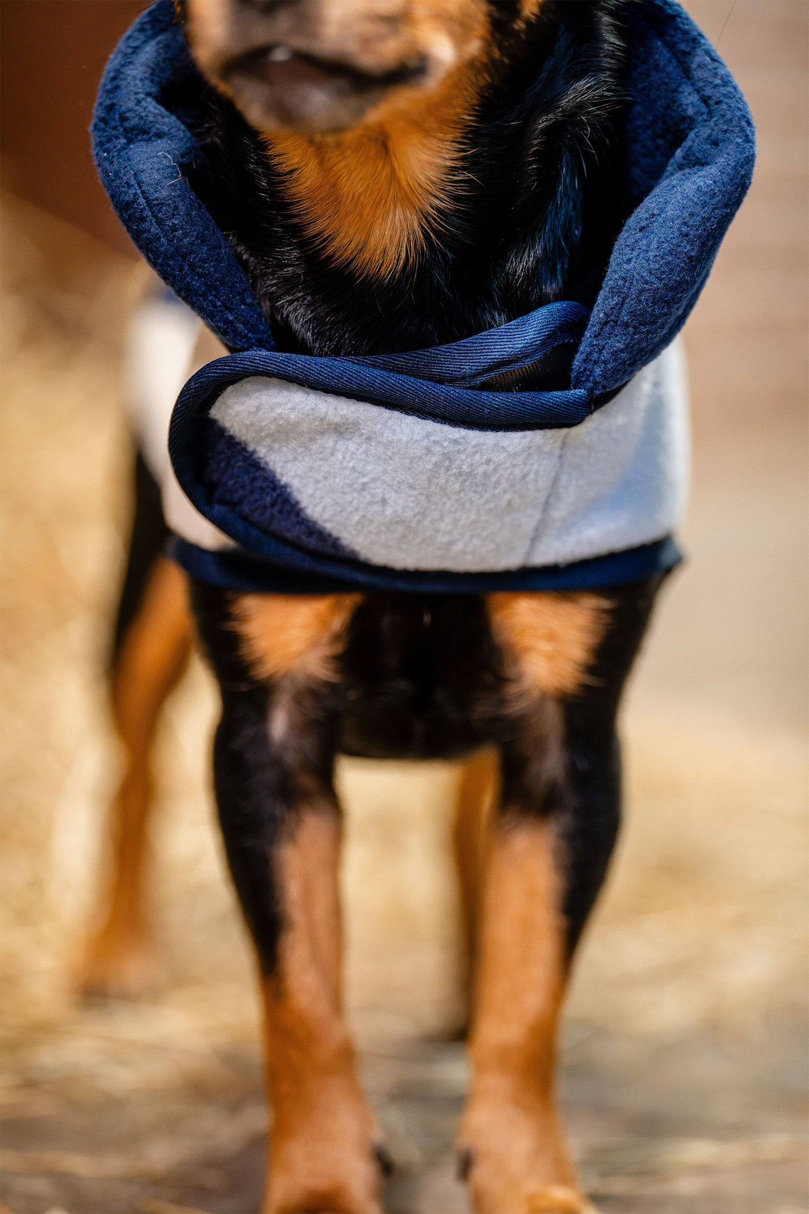 Horseware Signature Dog Fleece Dog Accesories