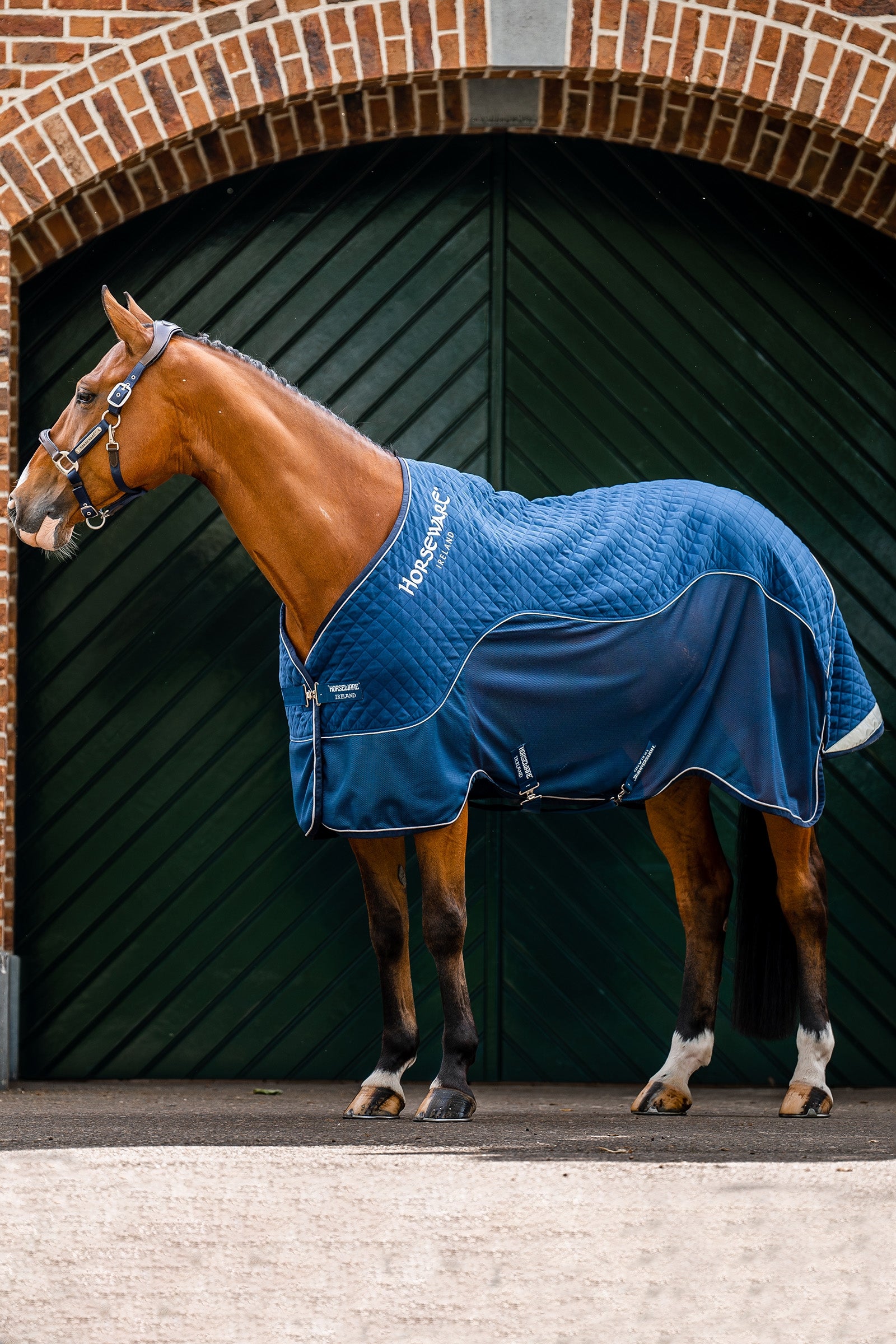 Horseware Signature Series Travel Rug, 50g Horse Rugs