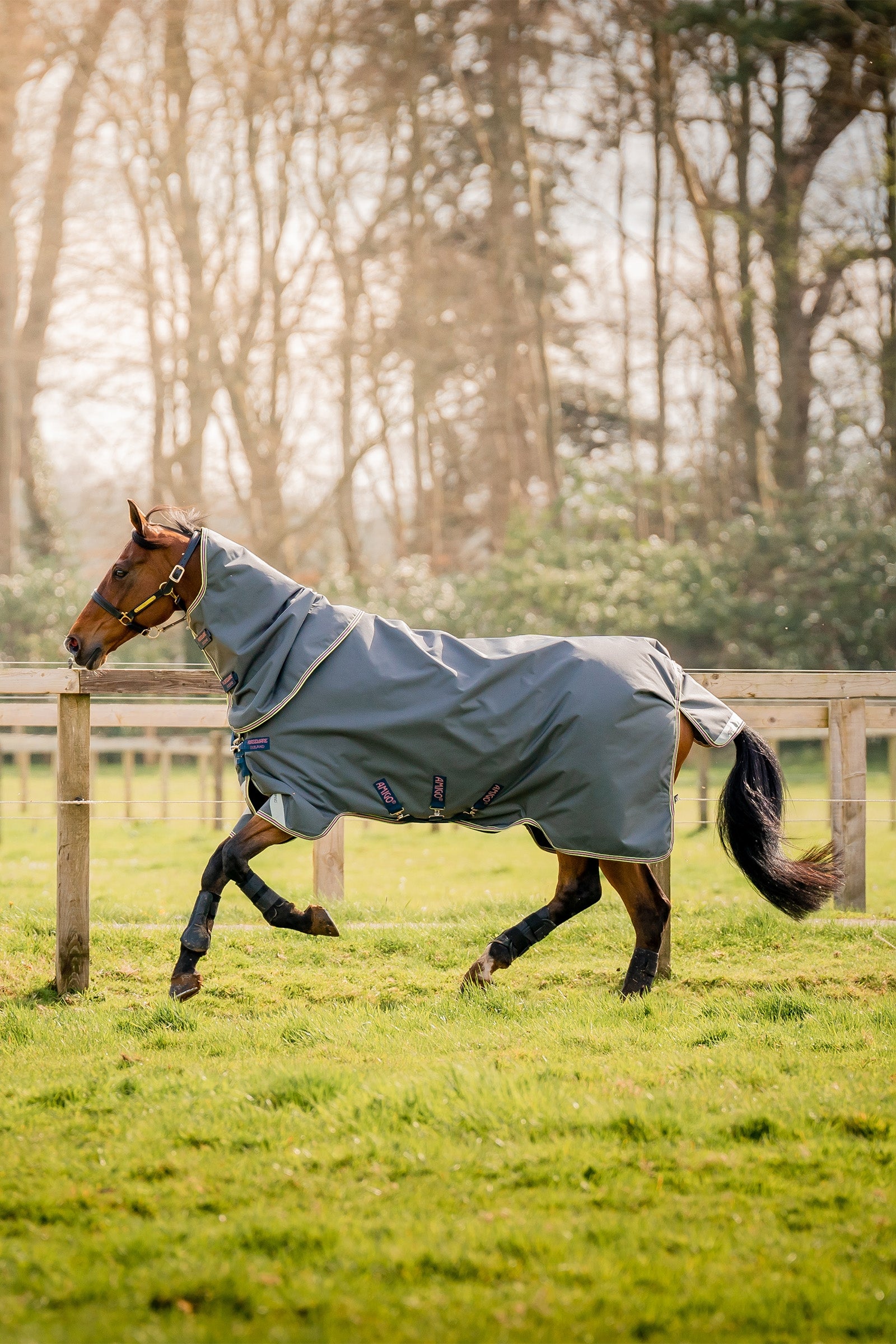 Horseware Amigo Bravo 12 Plus couverture d'extérieur avec cou amovible, 0g Couvertures cheval