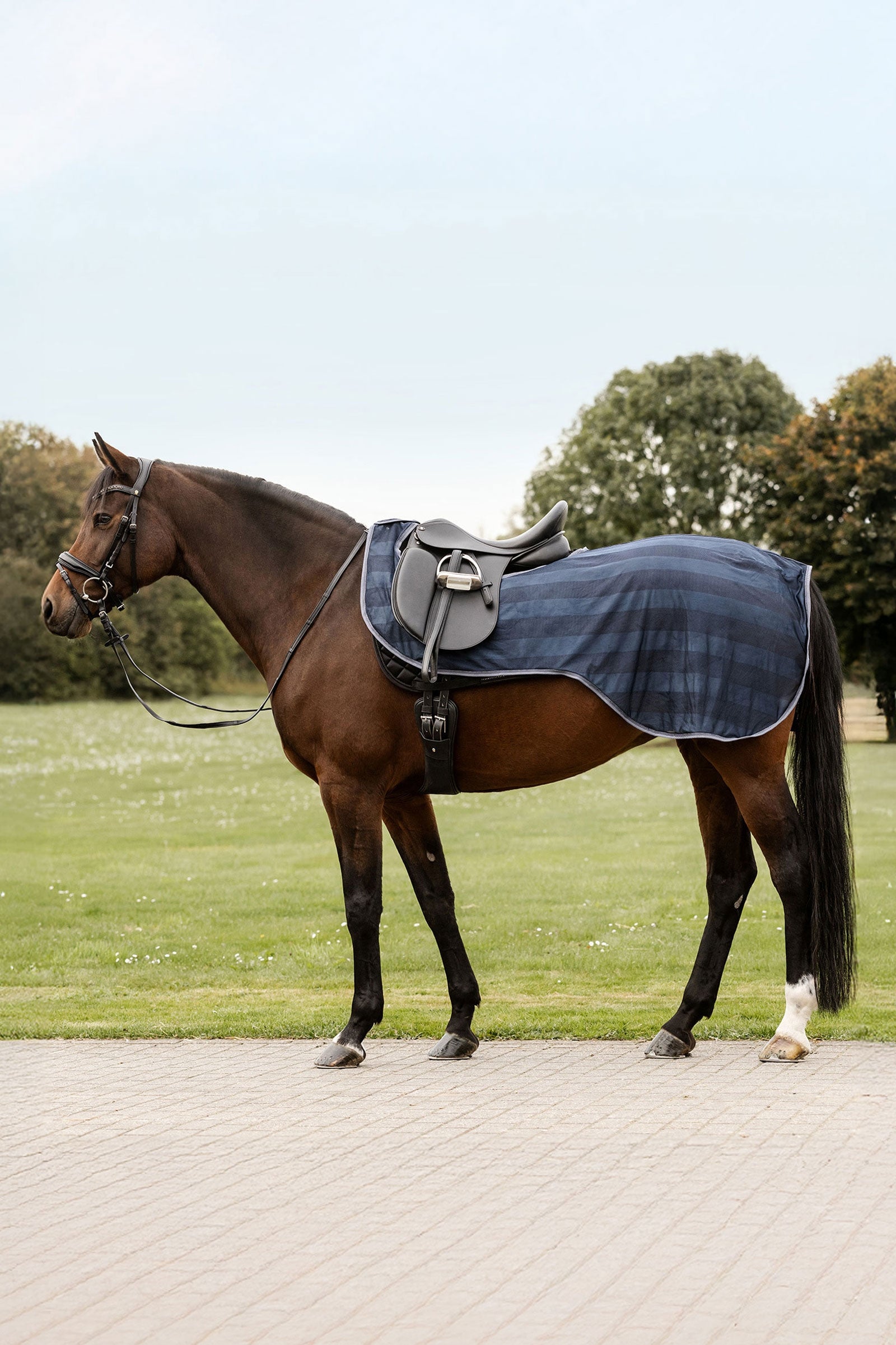 Waldhausen Economic couverture anti-mouches pour l'exercice Couvertures cheval