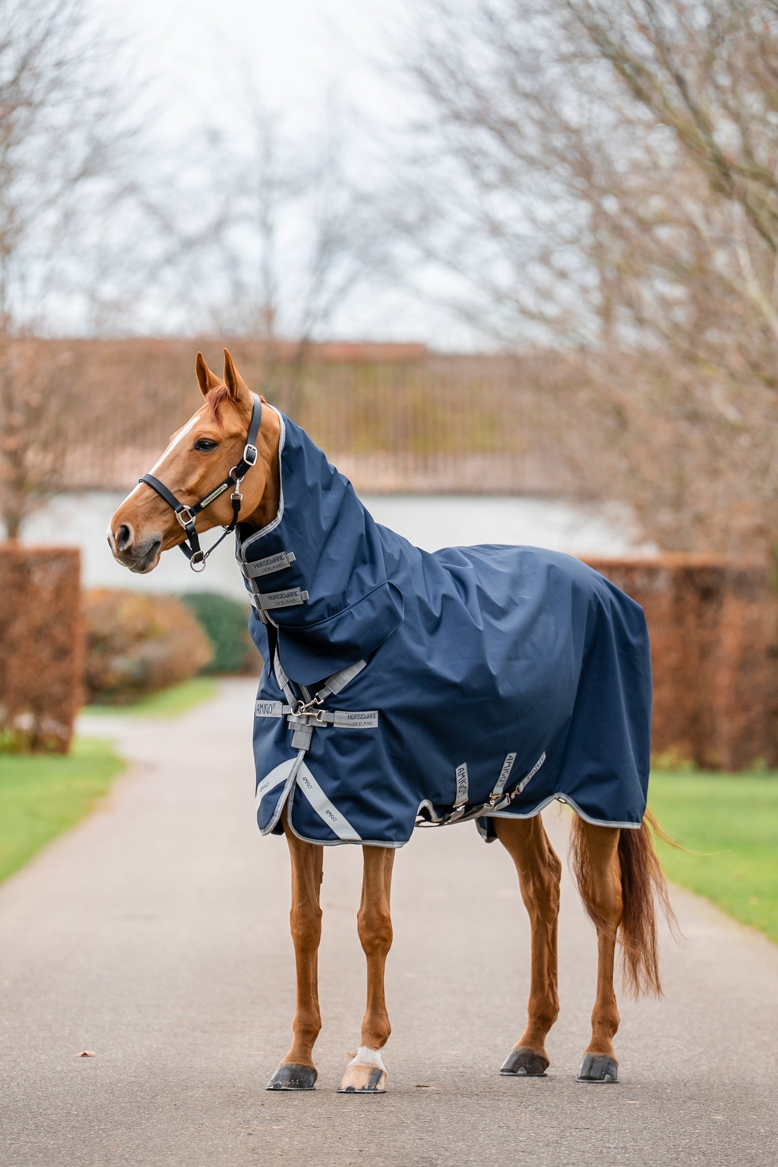 Horseware Amigo 1200D couverture imperméable intégrée 250 g Couvertures cheval