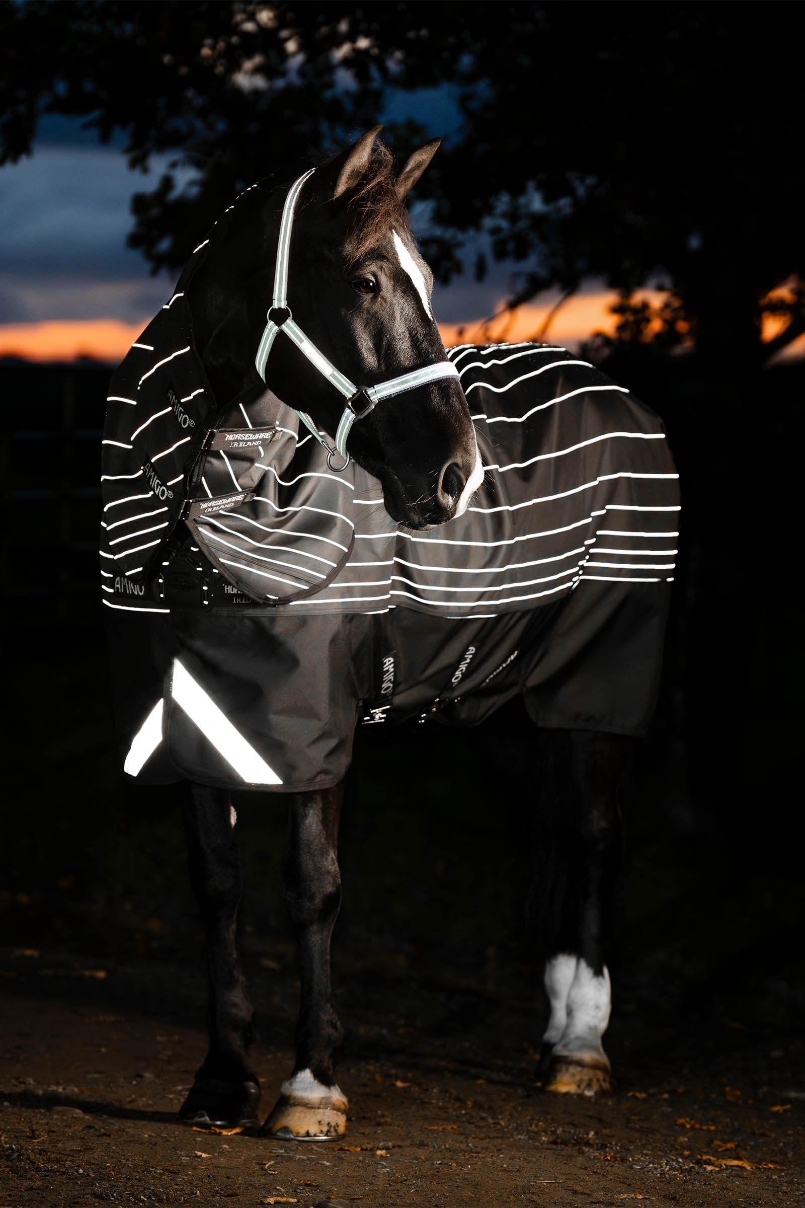 Horseware Amigo 1200D FieldSafe Reflectech Plus couverture imperméable, 100 g Couvertures cheval