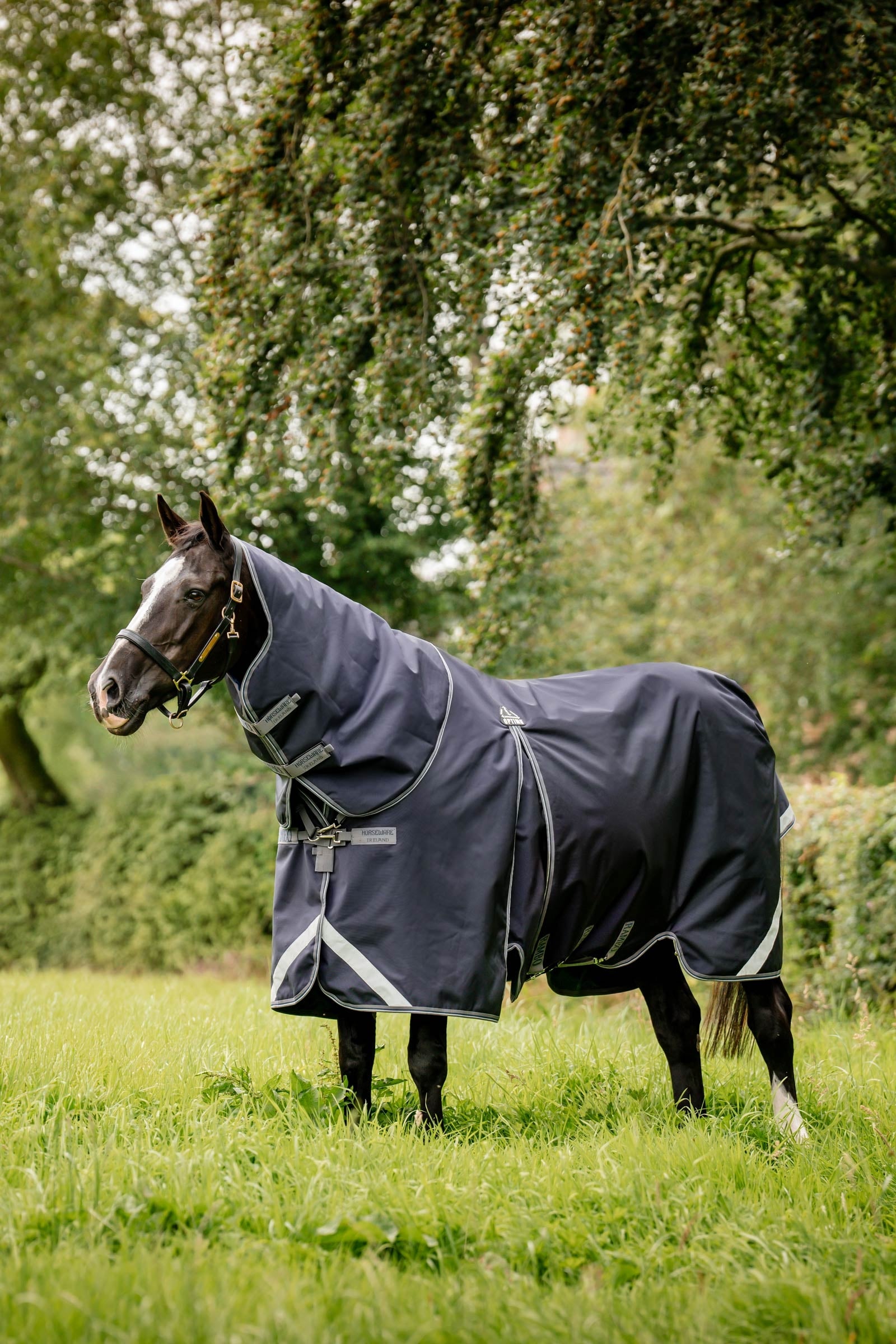 Horseware Rambo Optimo Plus Budle Couverture de Pâturage (avec 200g Liner) Couvertures cheval