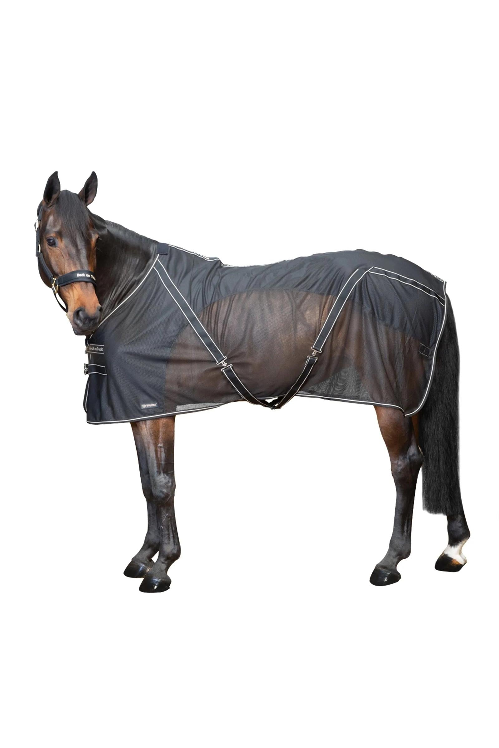 Back on Track Couverture séchante Sienna Couvertures cheval