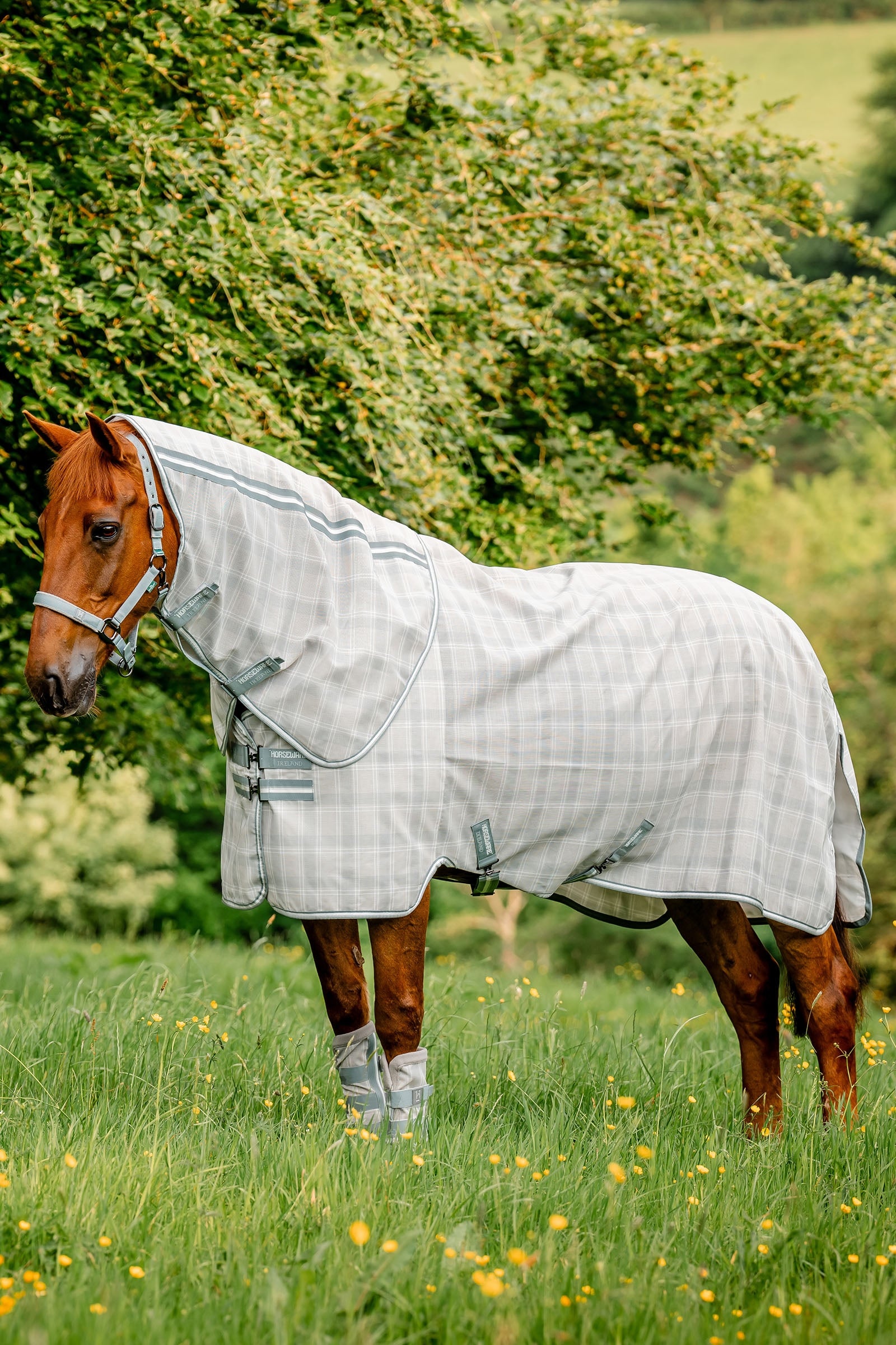 Horseware Newmarket Plus Couverture anti-mouches Couvertures cheval