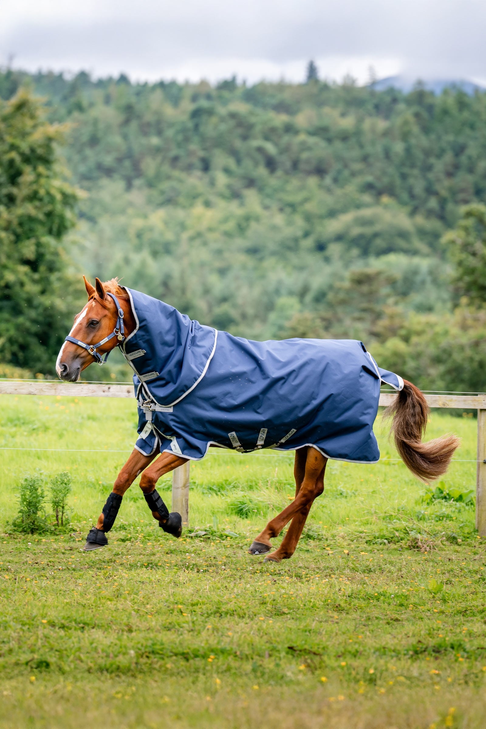 Horseware Amigo 1200D Plus couverture imperméable, 50 g Couvertures cheval
