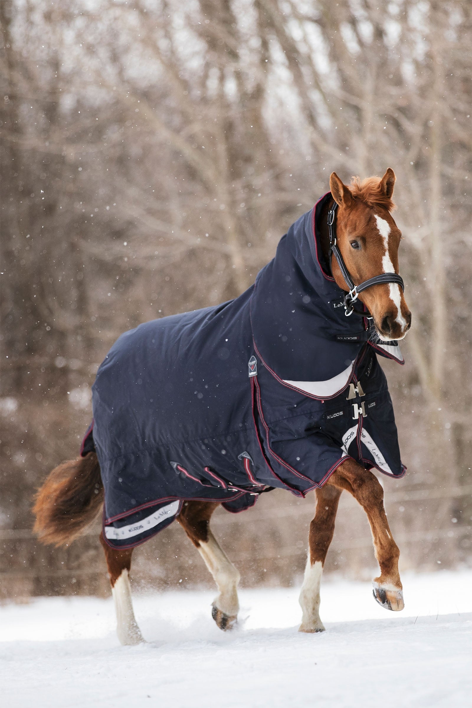 LeMieux Kudos couverture imperméable 350g Couvertures cheval