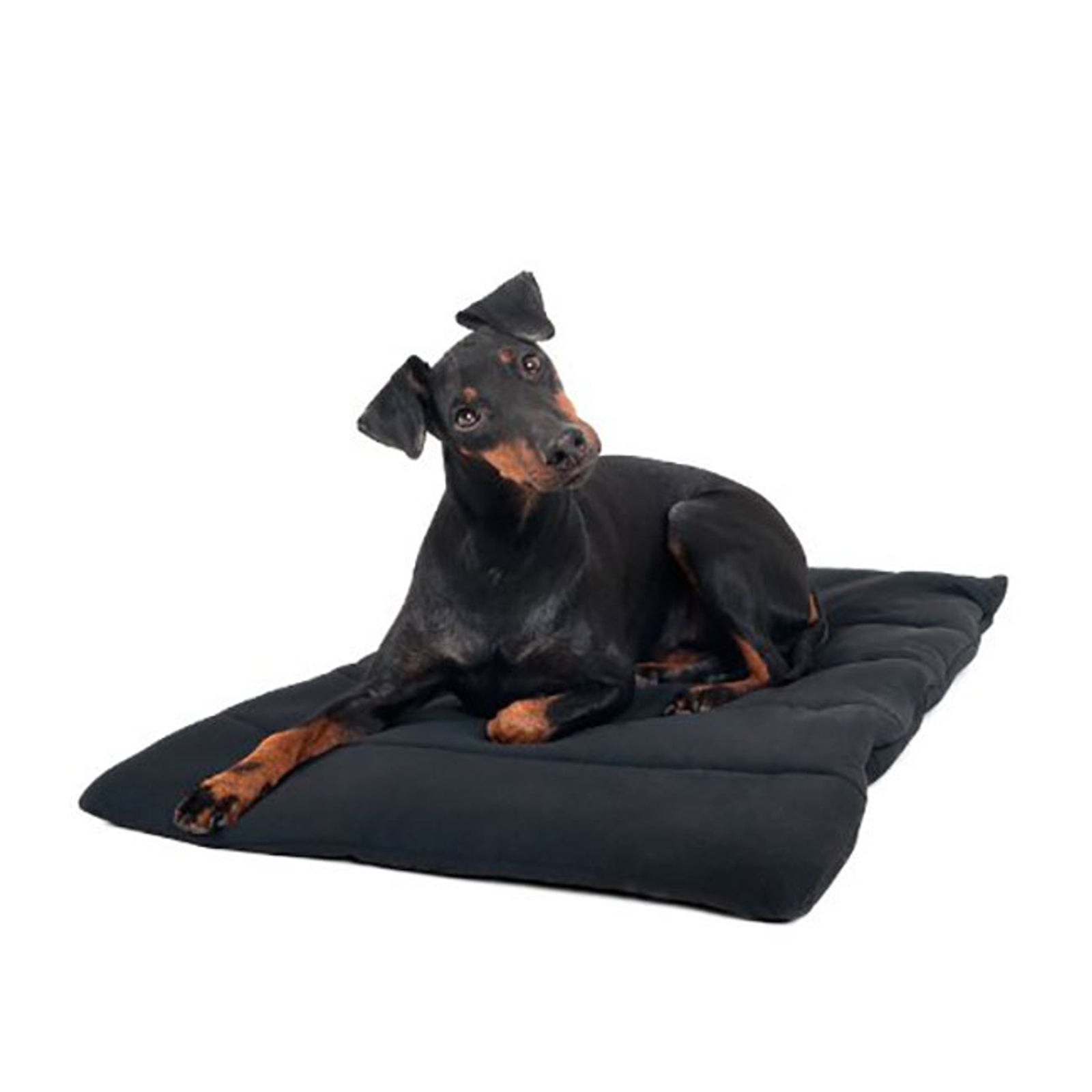 Back on Track Couverture pour chien Back on Track Chiens