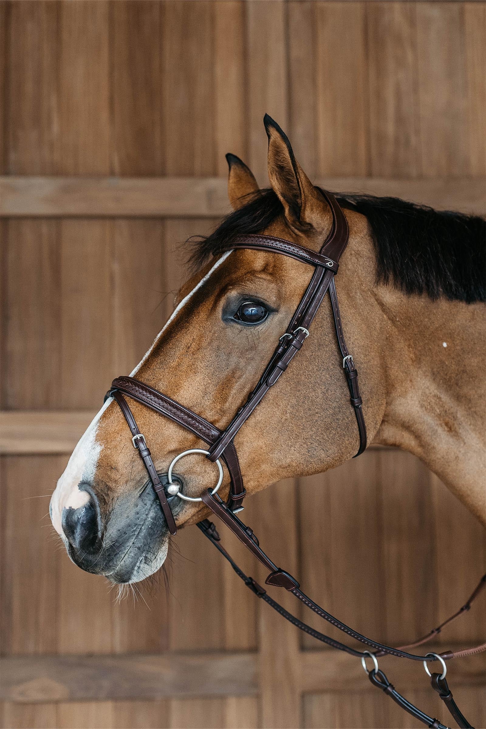 Dy'on New English Plaited Bridle With Flash Noseband Bridles & Reins