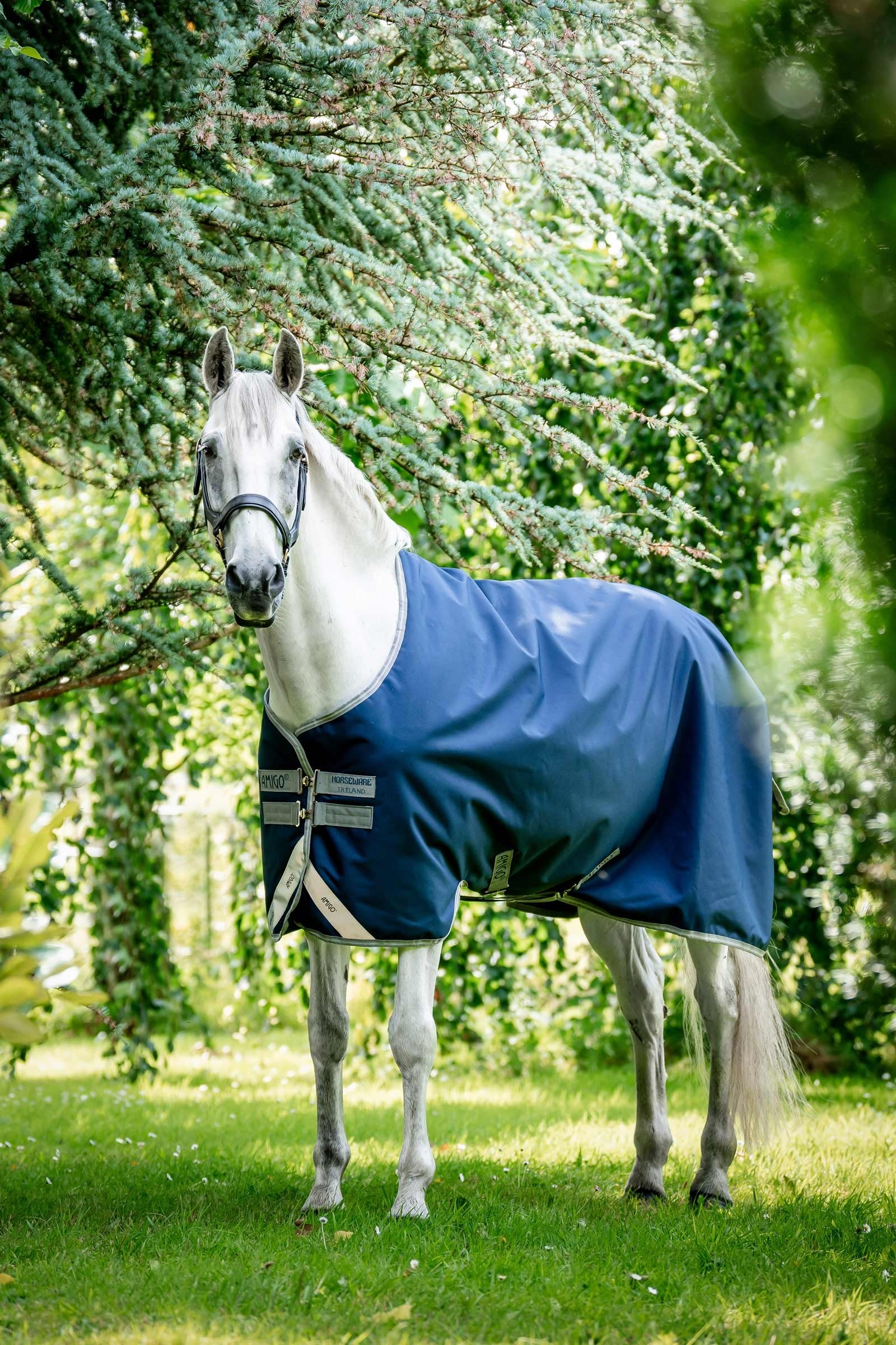 Horseware Amigo Bravo 12 couverture d'extérieur, 100g Couvertures cheval