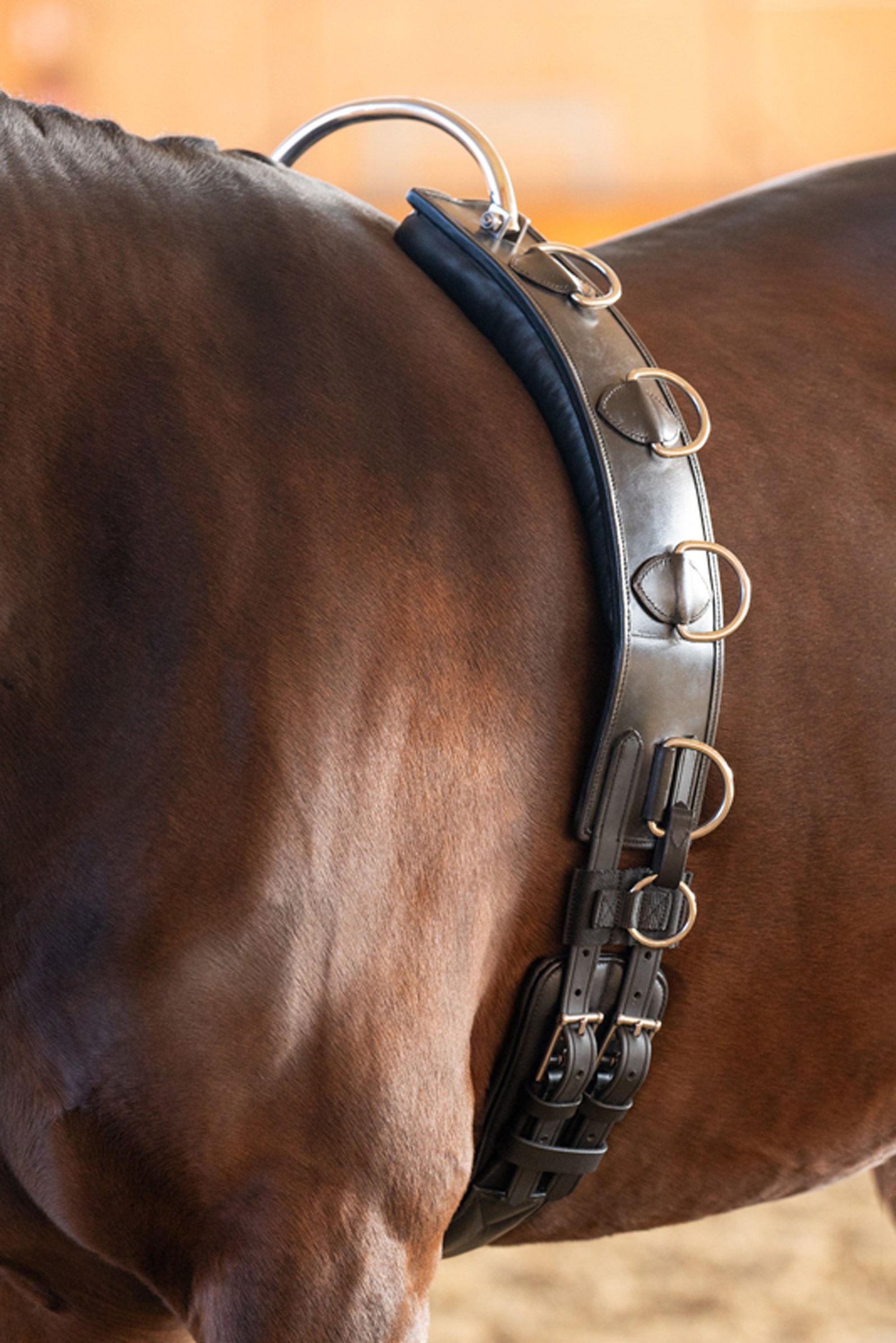 Kavalkade Leather Lungeing Girth With Frame Saddles, Girths & Stirrups