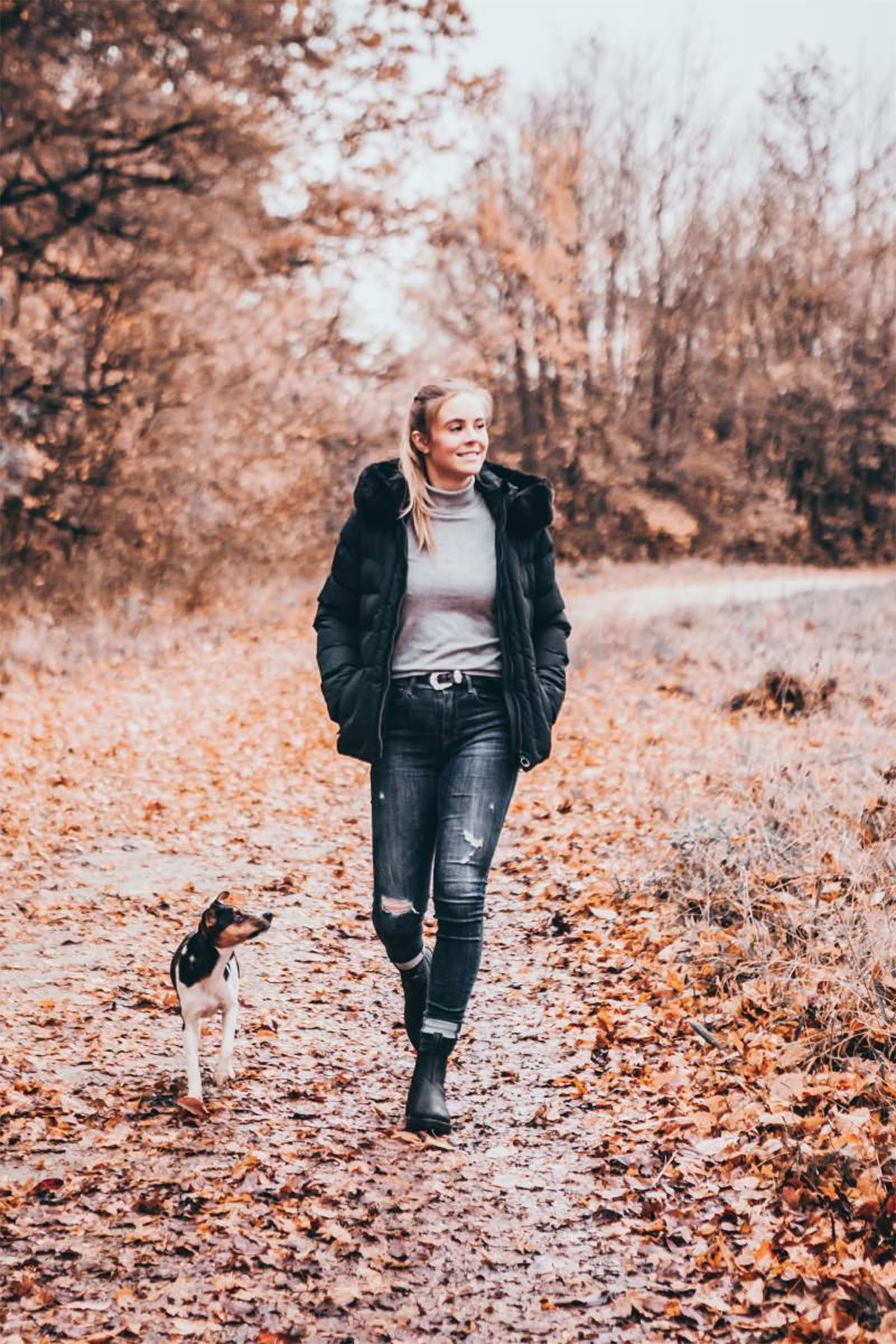 Suedwind Footwear New Work Winter Jodhpur Boots Chelsea Riding Boots & Riding Shoes