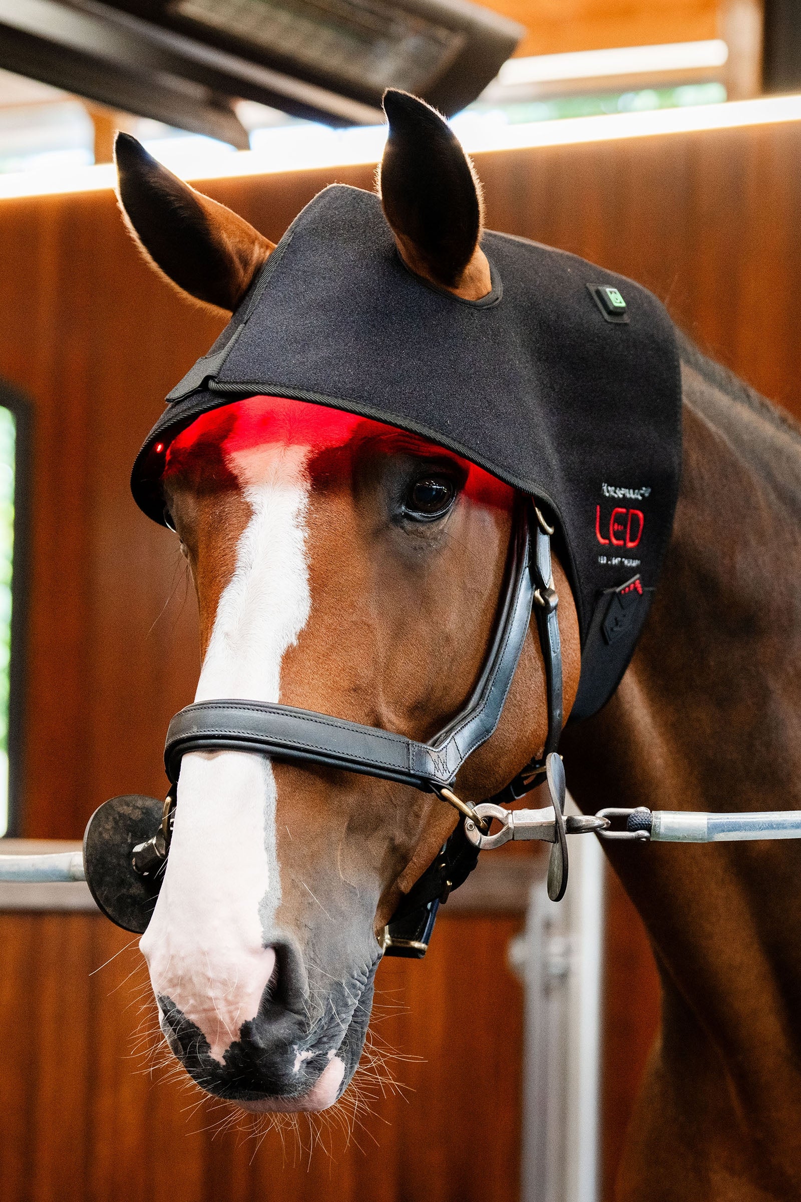 Horseware bonnet thérapeutique LED à lumière rouge pour la nuque Couvertures cheval