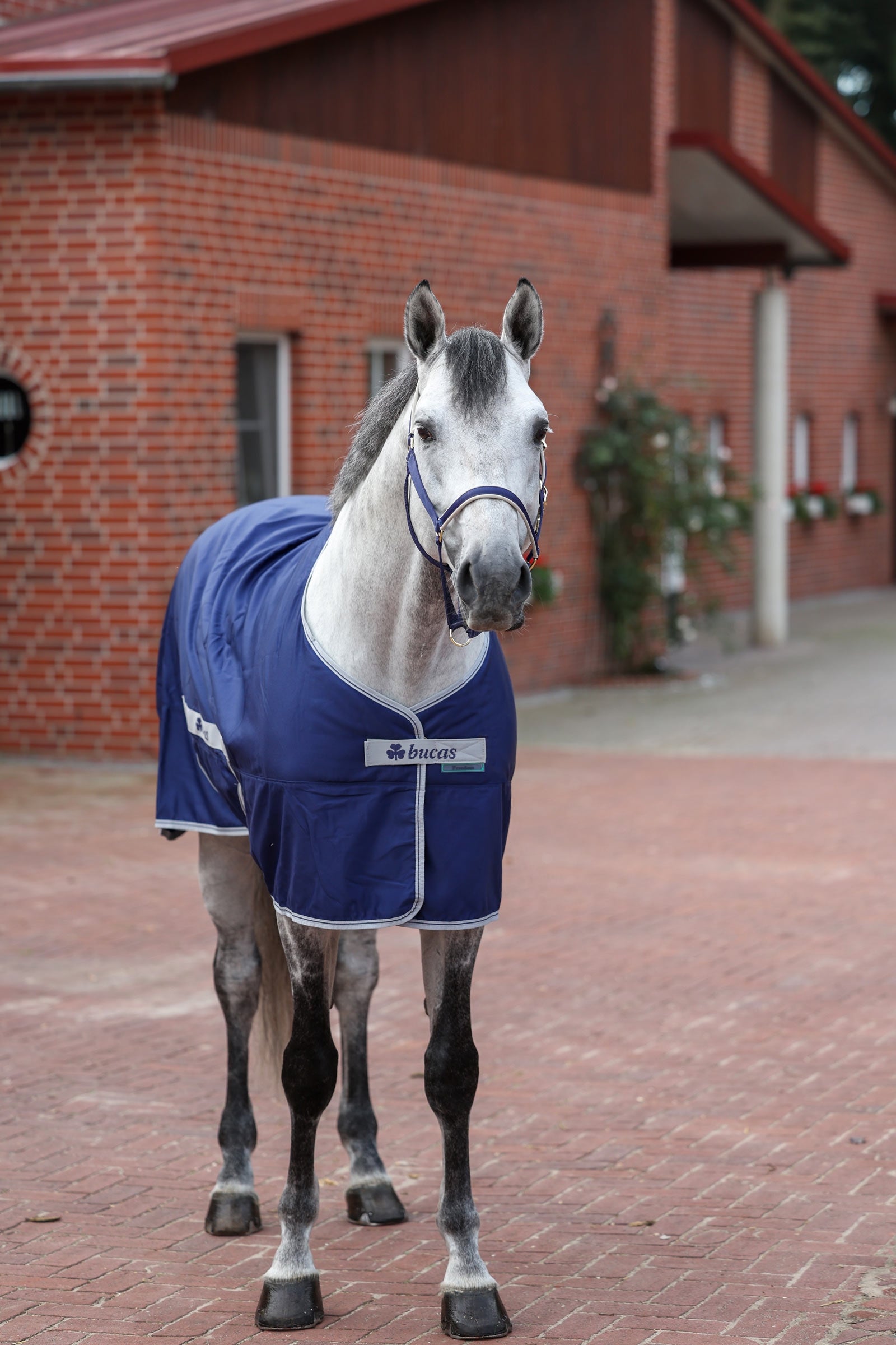 Bucas Freedom Twill Stable Rug, 0 g Horse Rugs