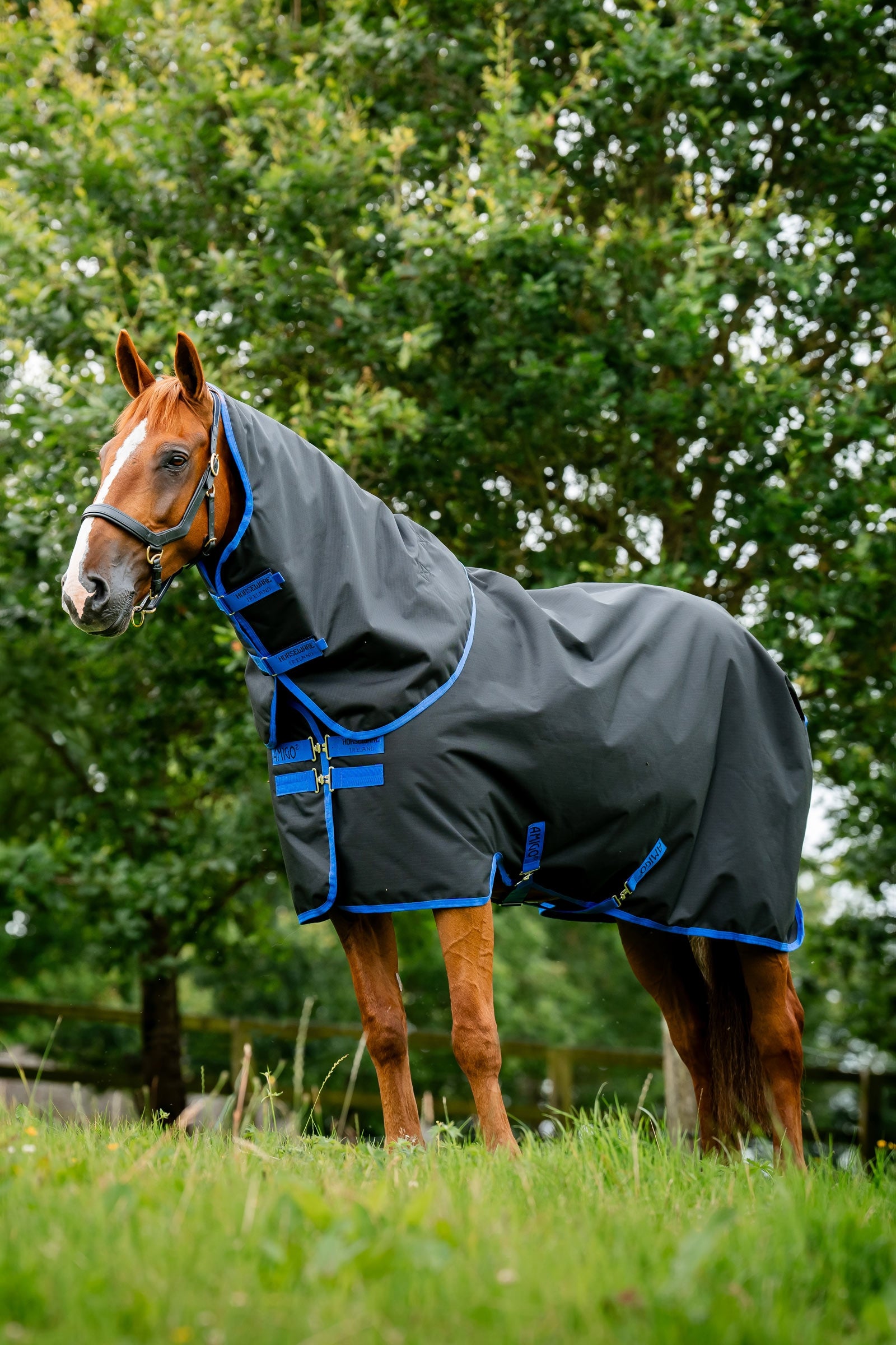 Horseware Amigo Ripstop 900D Plus couverture d’extérieur, 0 g Couvertures cheval