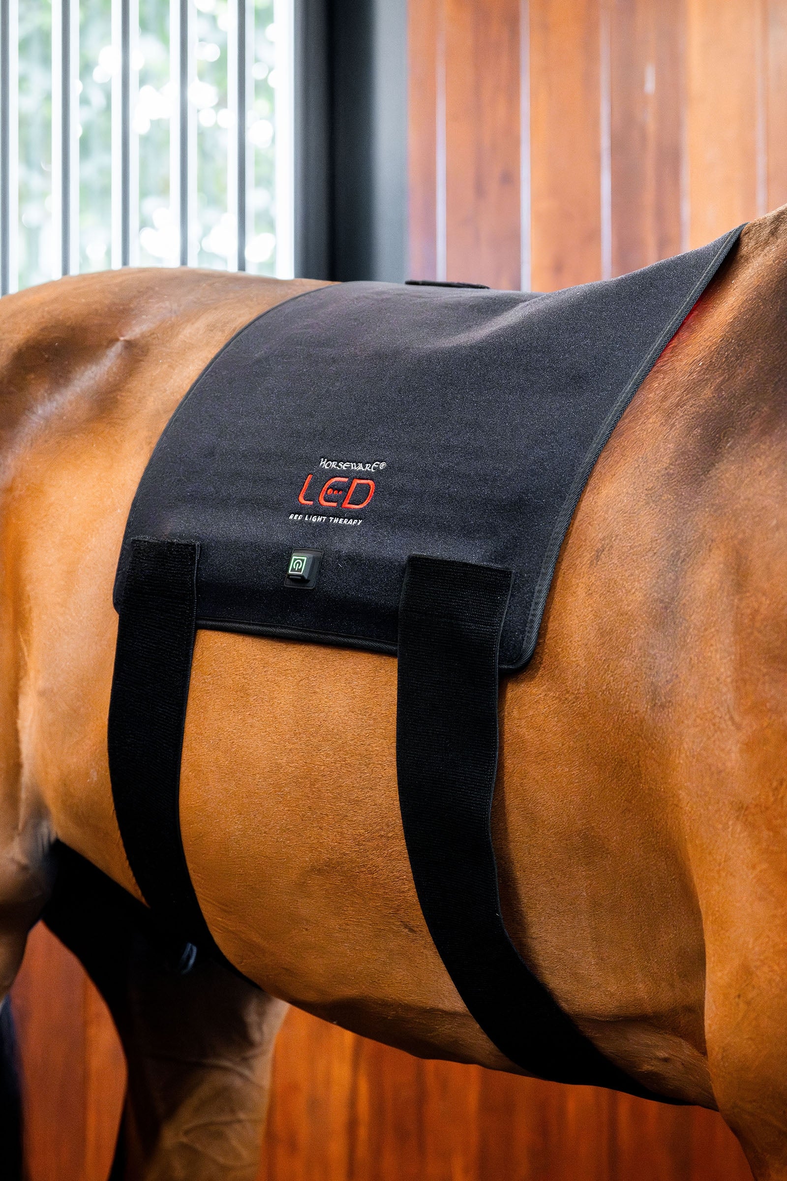 Horseware Pad thérapeutique LED à lumière rouge Couvertures cheval