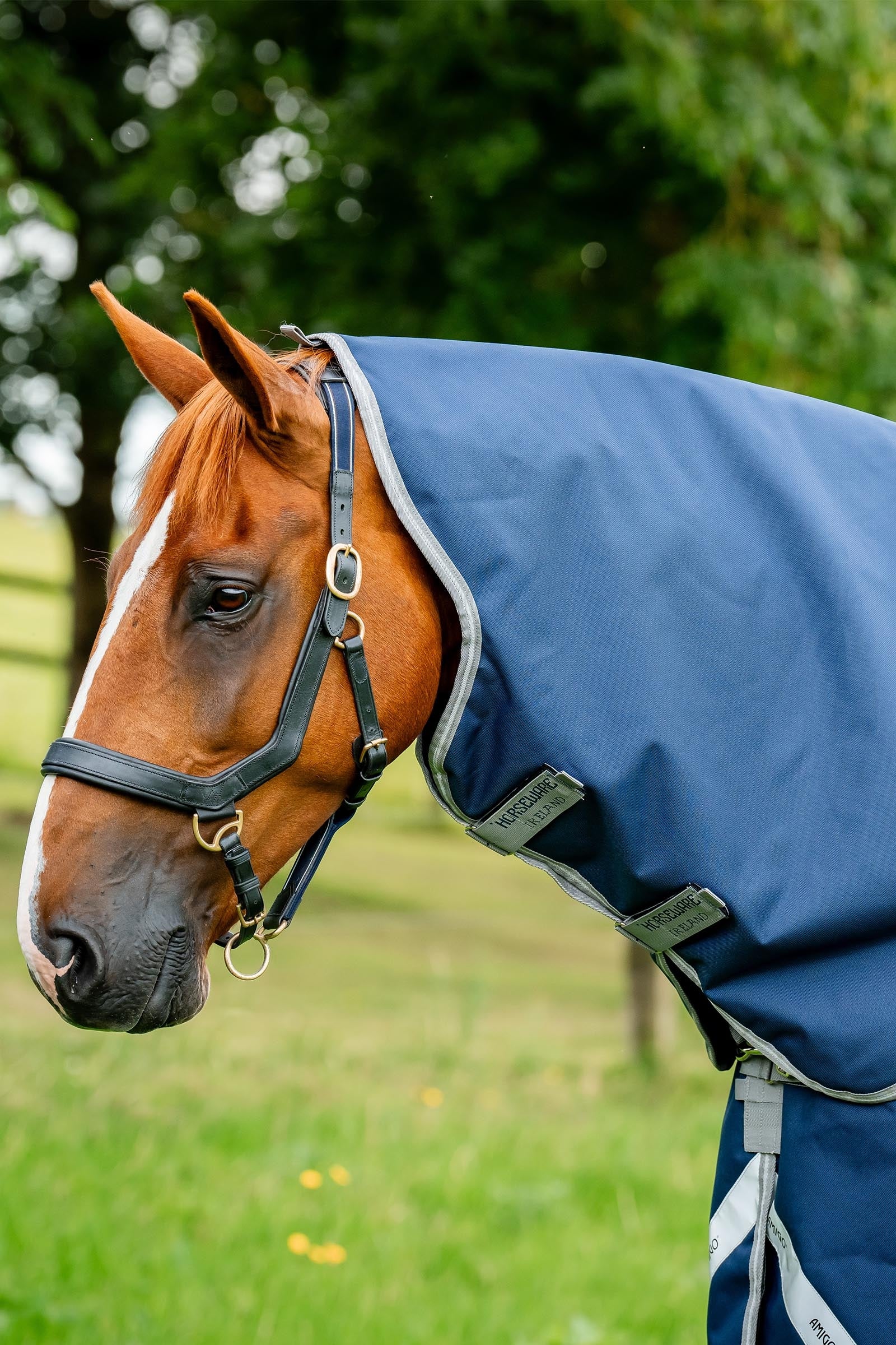 Horseware Amigo Bravo 12 Hood 150g Horse Rugs