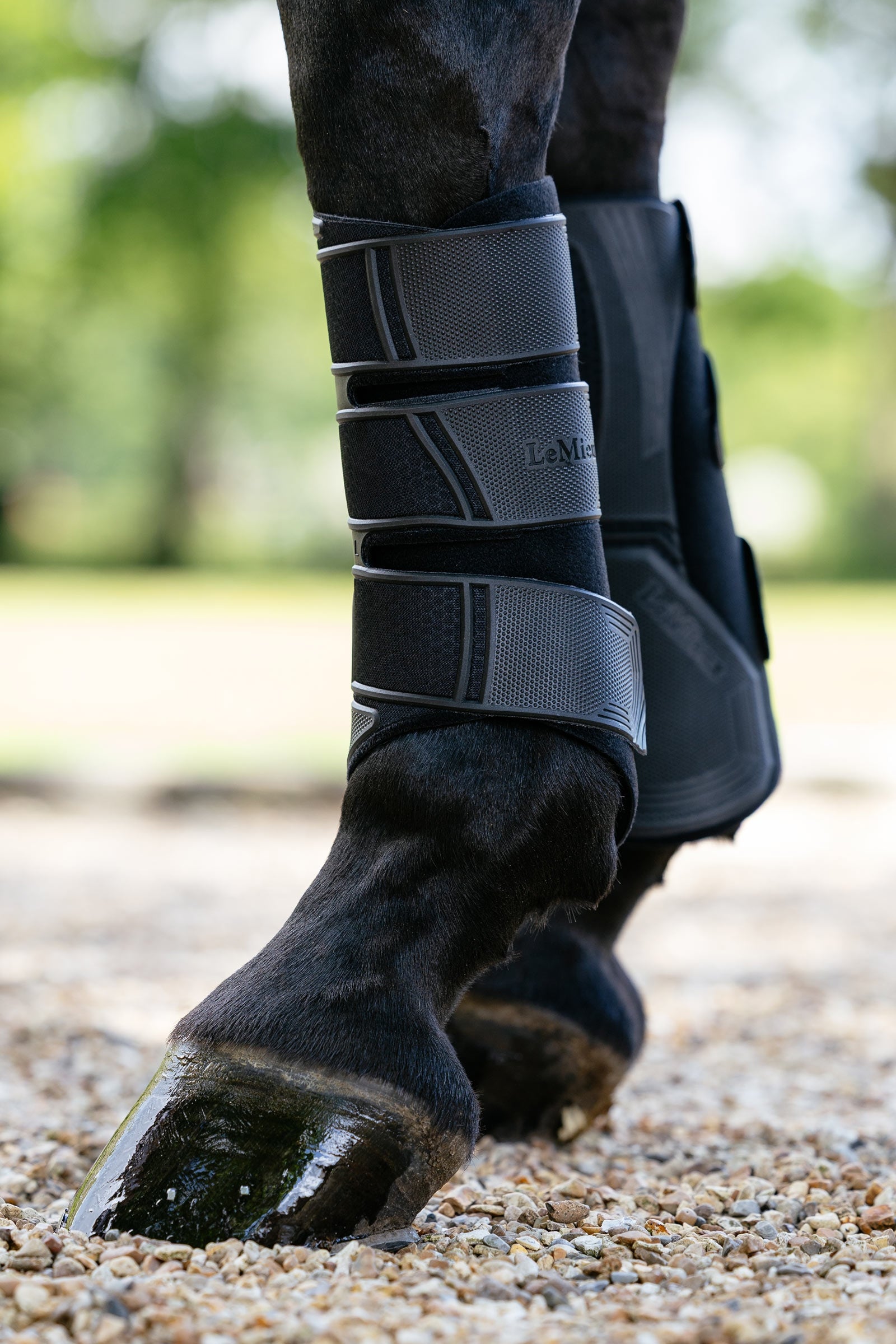 LeMieux Technical guêtres de dressage Leg Protection & Hoof Protection for Horses