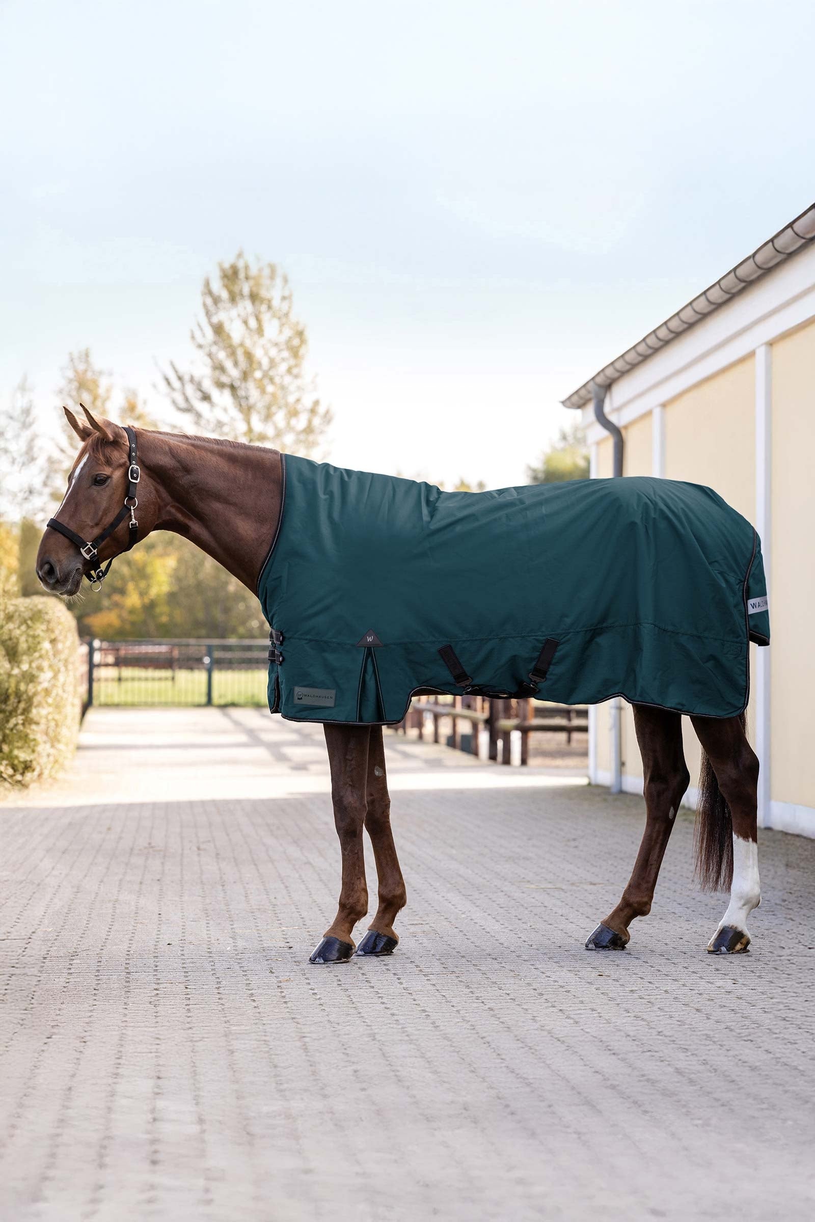Waldhausen Arctic Outdoor Rug With High Neck, 100 g Couvertures cheval