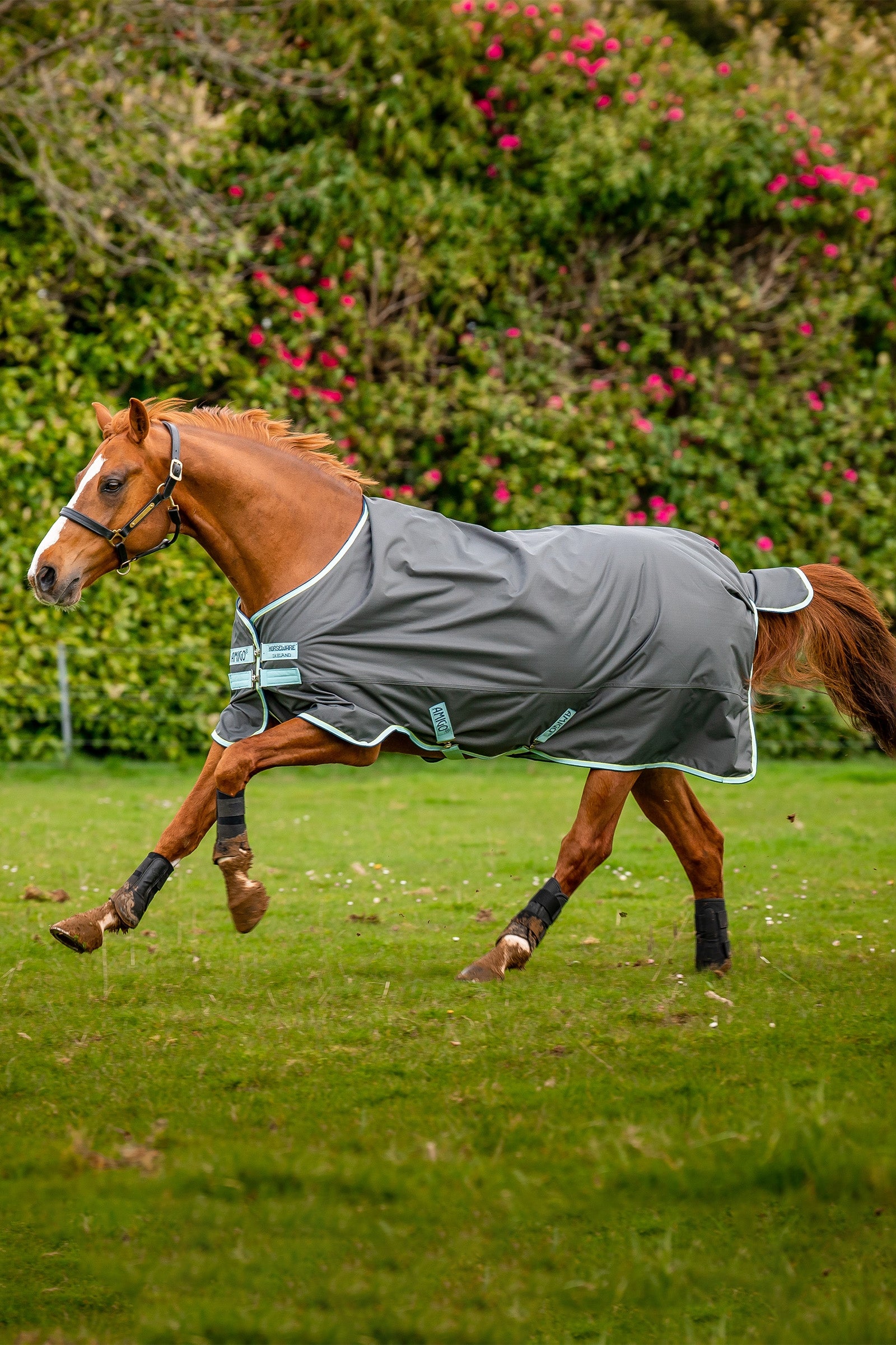 Horseware Amigo Hero Ripstop ulkoloimi fleecevuorella, 50g Couvertures cheval