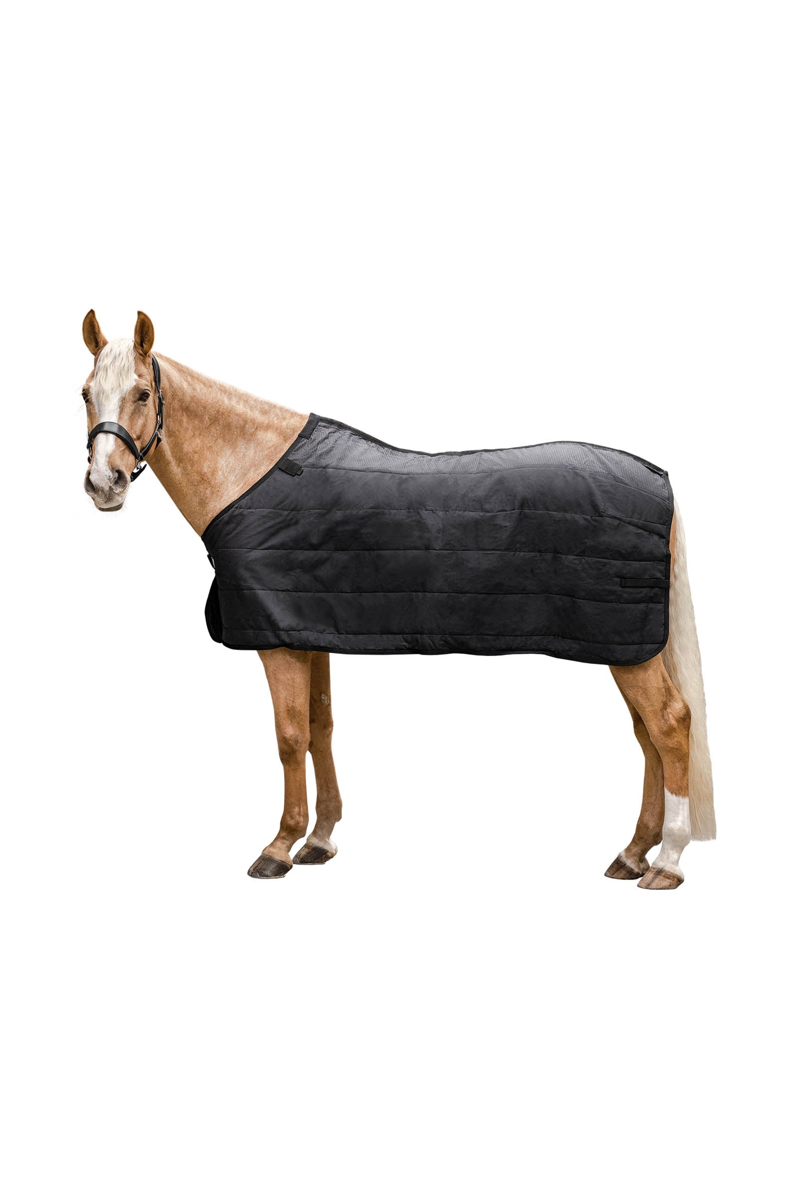 Waldhausen Thermo Underrug 100 g Couvertures cheval